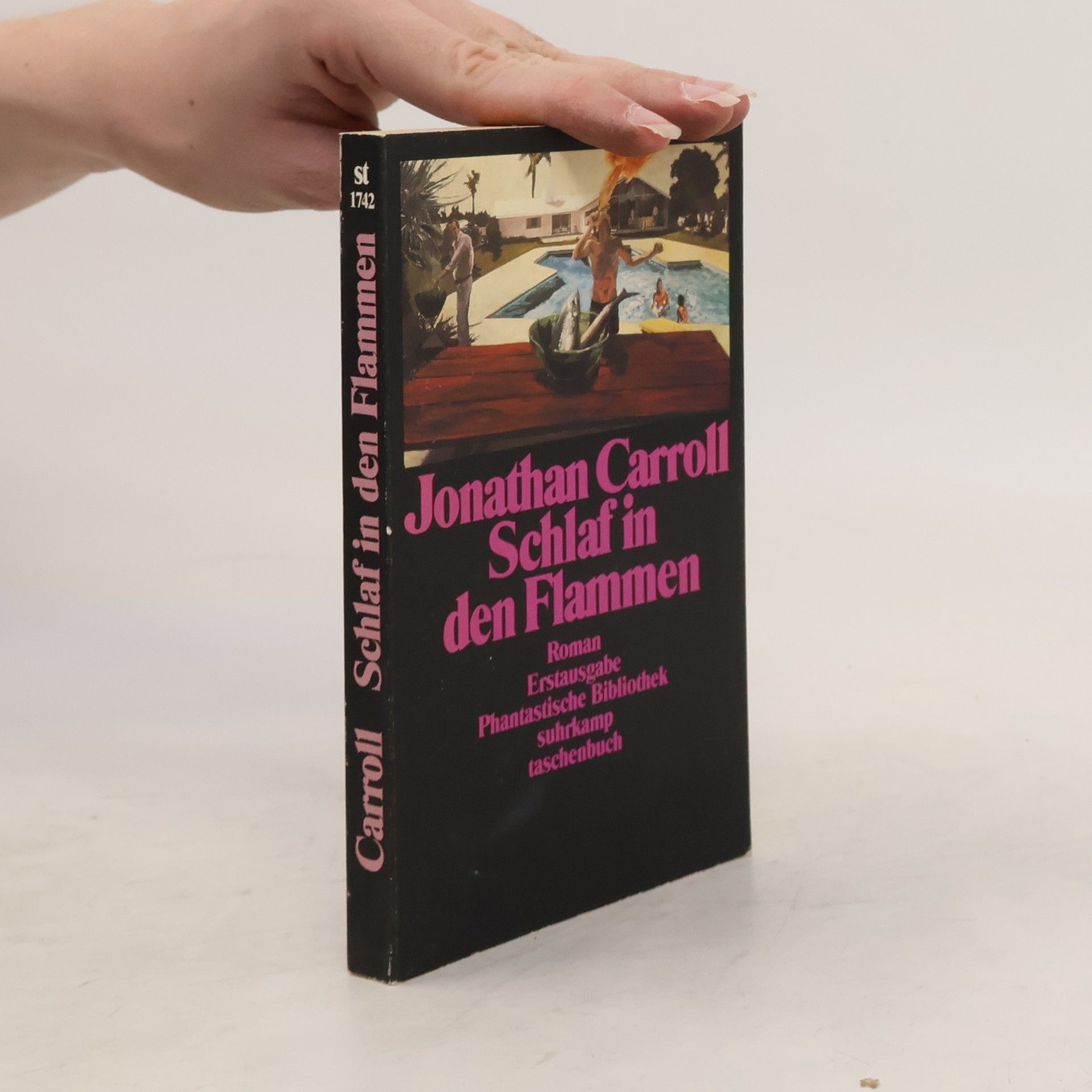 Jonathan Carroll Schlaf in den Flammen