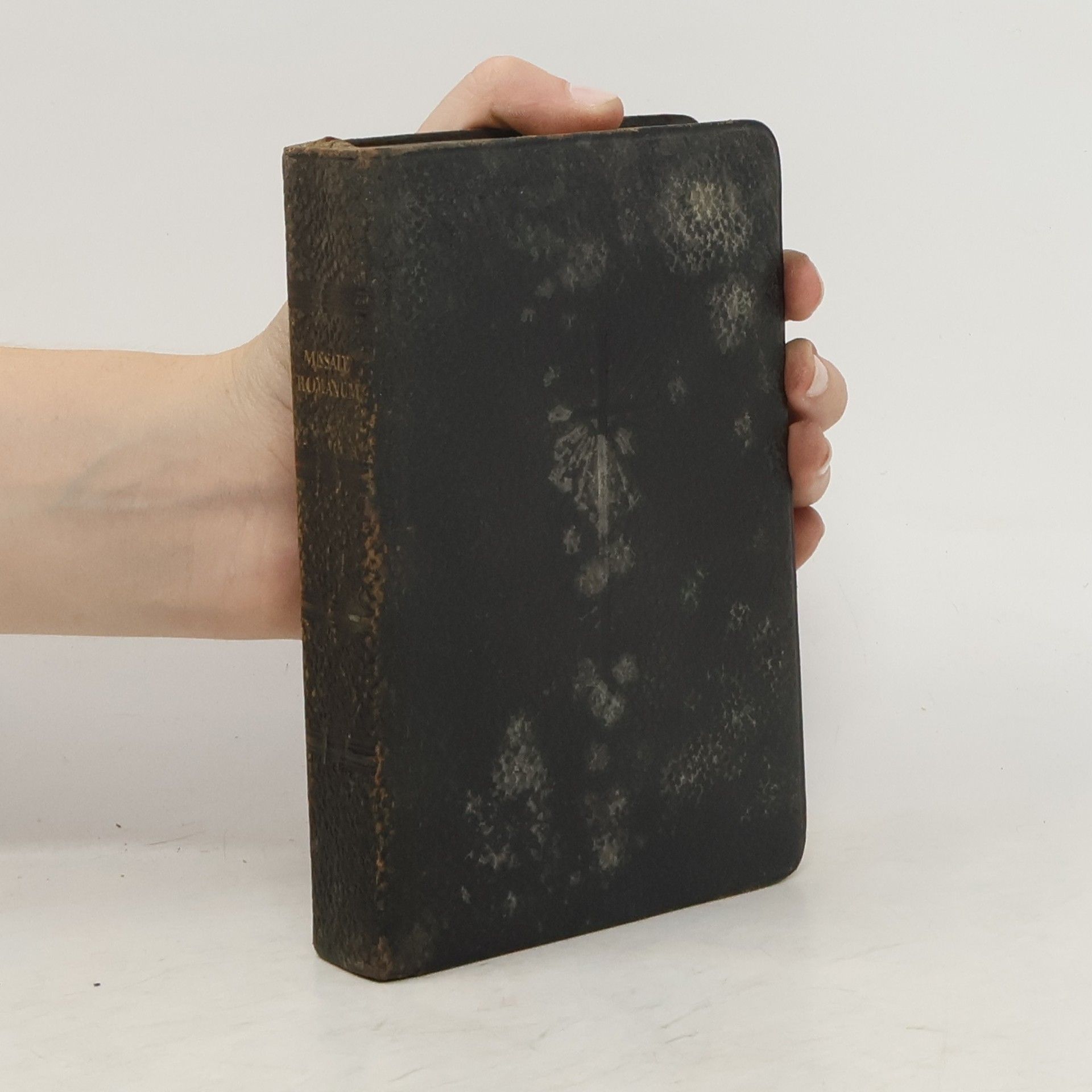 Collectif d'auteurs Missale Romanum. Editio XIX