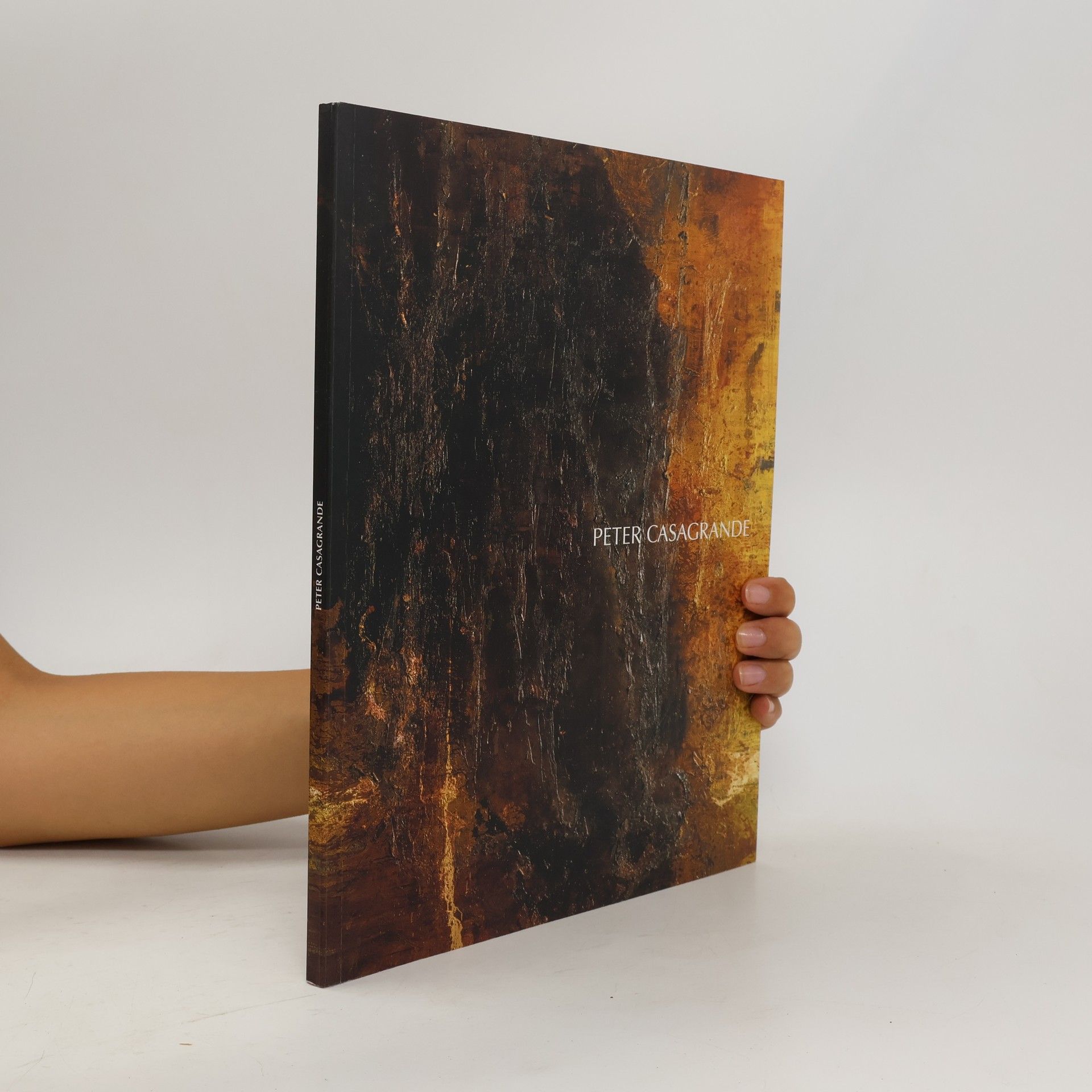 Collectif d'auteurs Peter Casagrande. Opere 1995-2002. Catalogo della mostra (Casalmaggiore, 19 ottobre-10 novembre 2002)