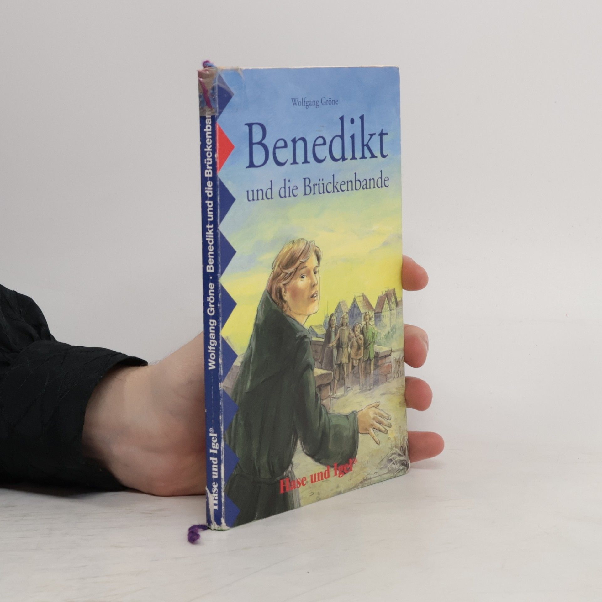 Wolfgang Gröne Benedikt und die Brückenbande, Schulausgabe