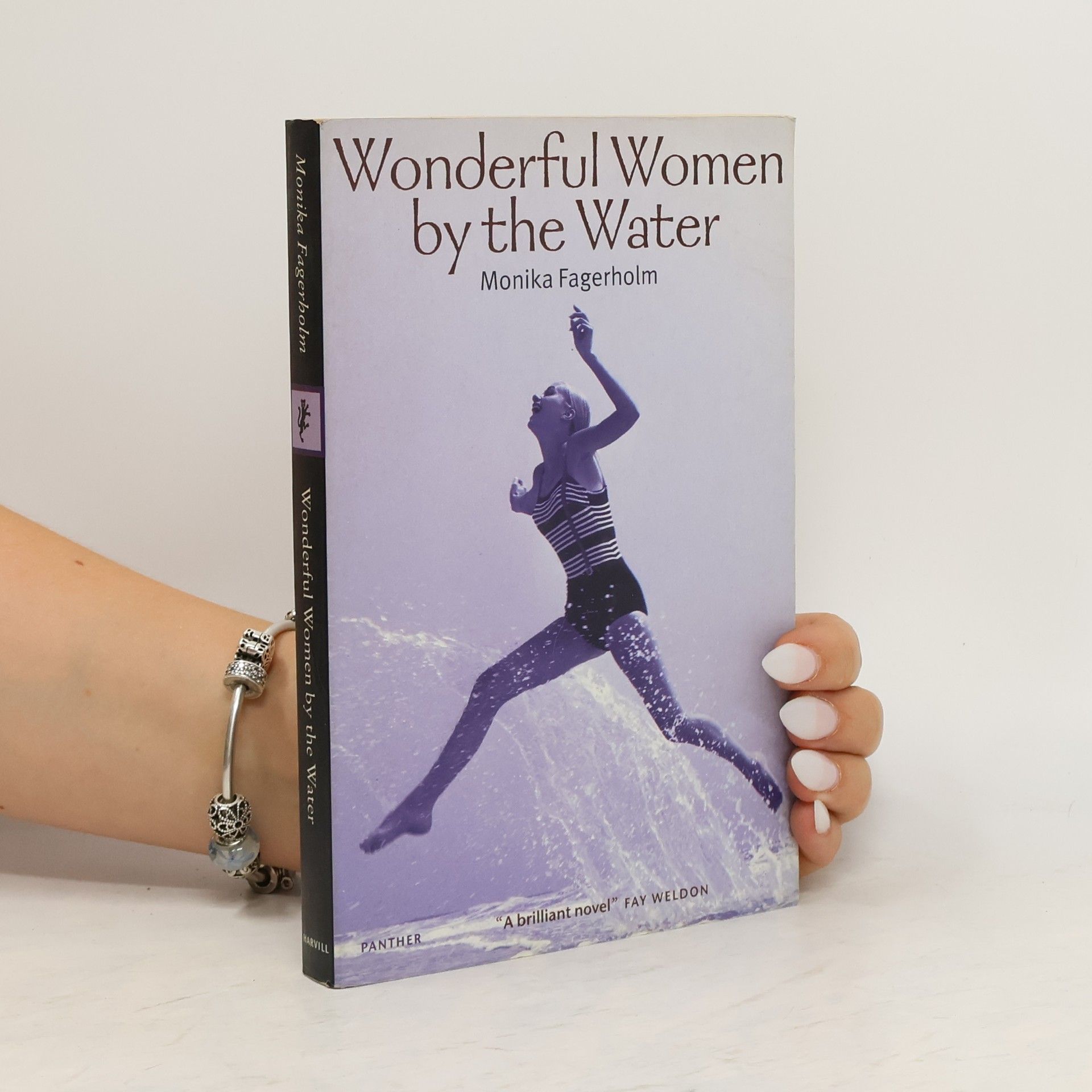 Monika Fagerholm Wonderful Women by the Water