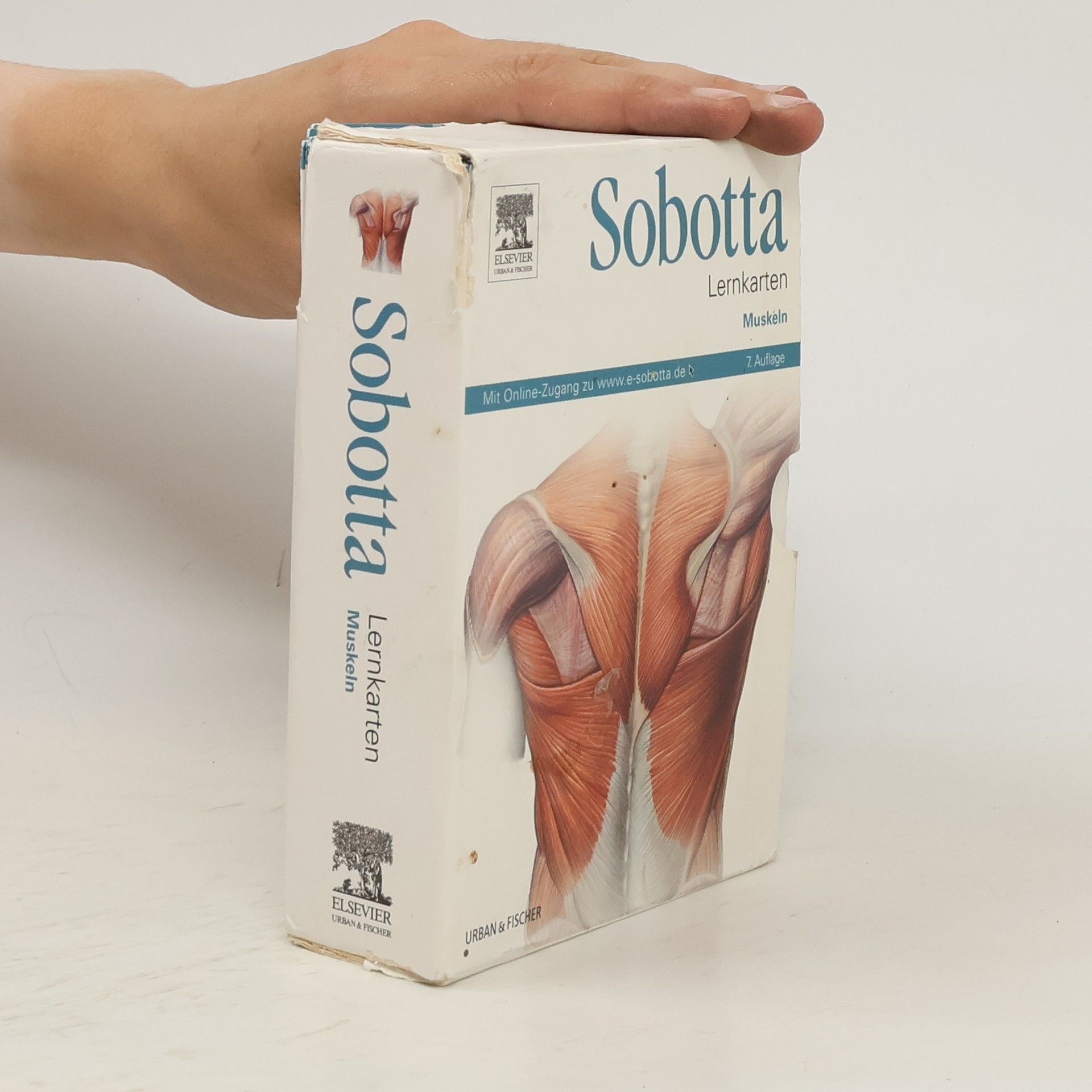 Collective Sobotta - Lernkarten