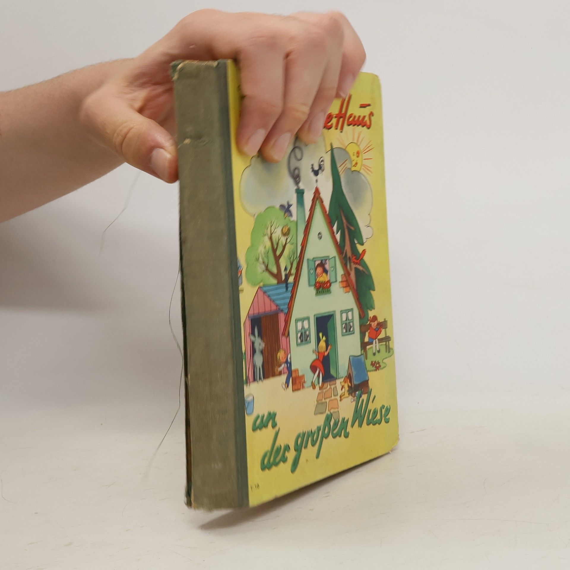 Das kleine Haus an der großen Wiese