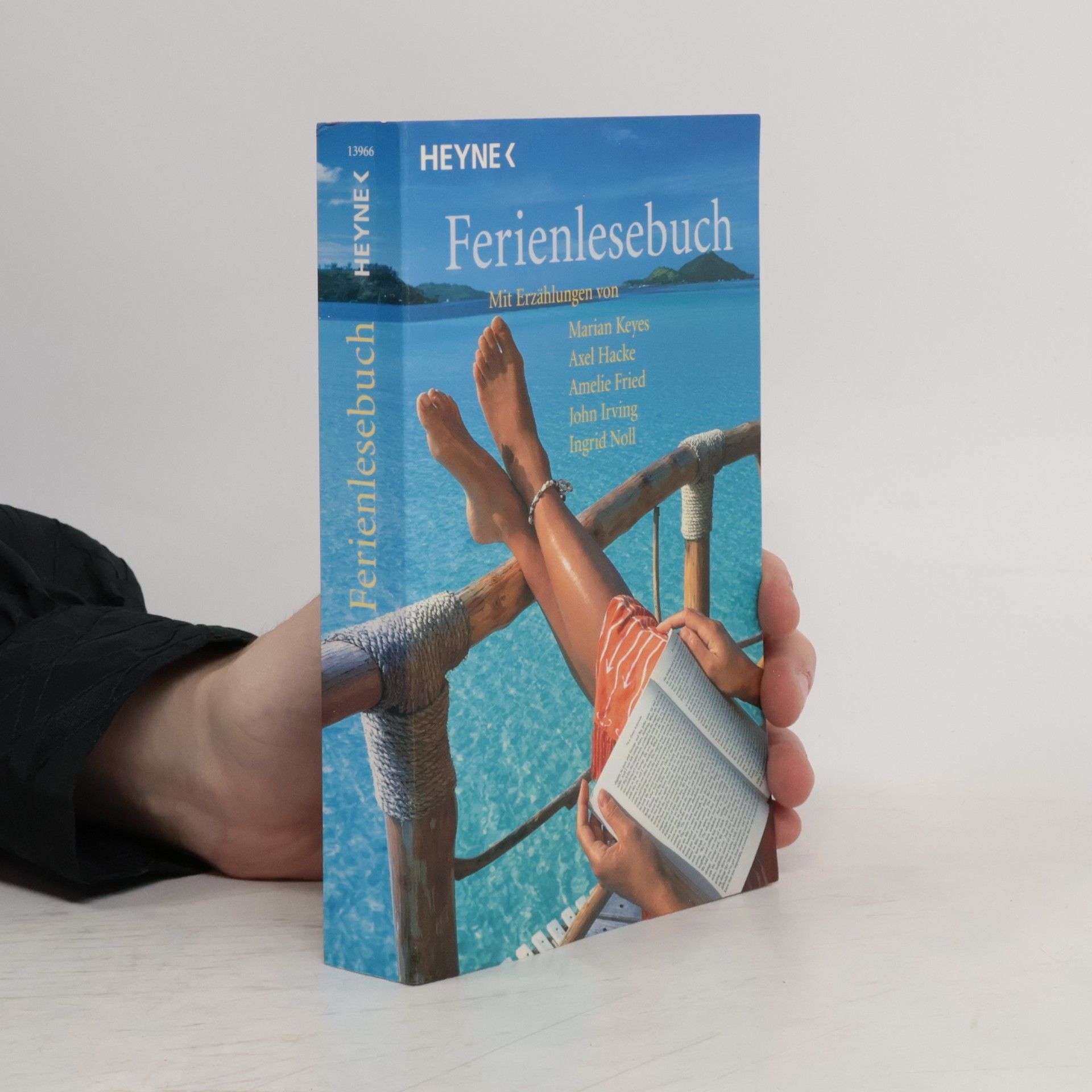 John Irving Ferienlesebuch