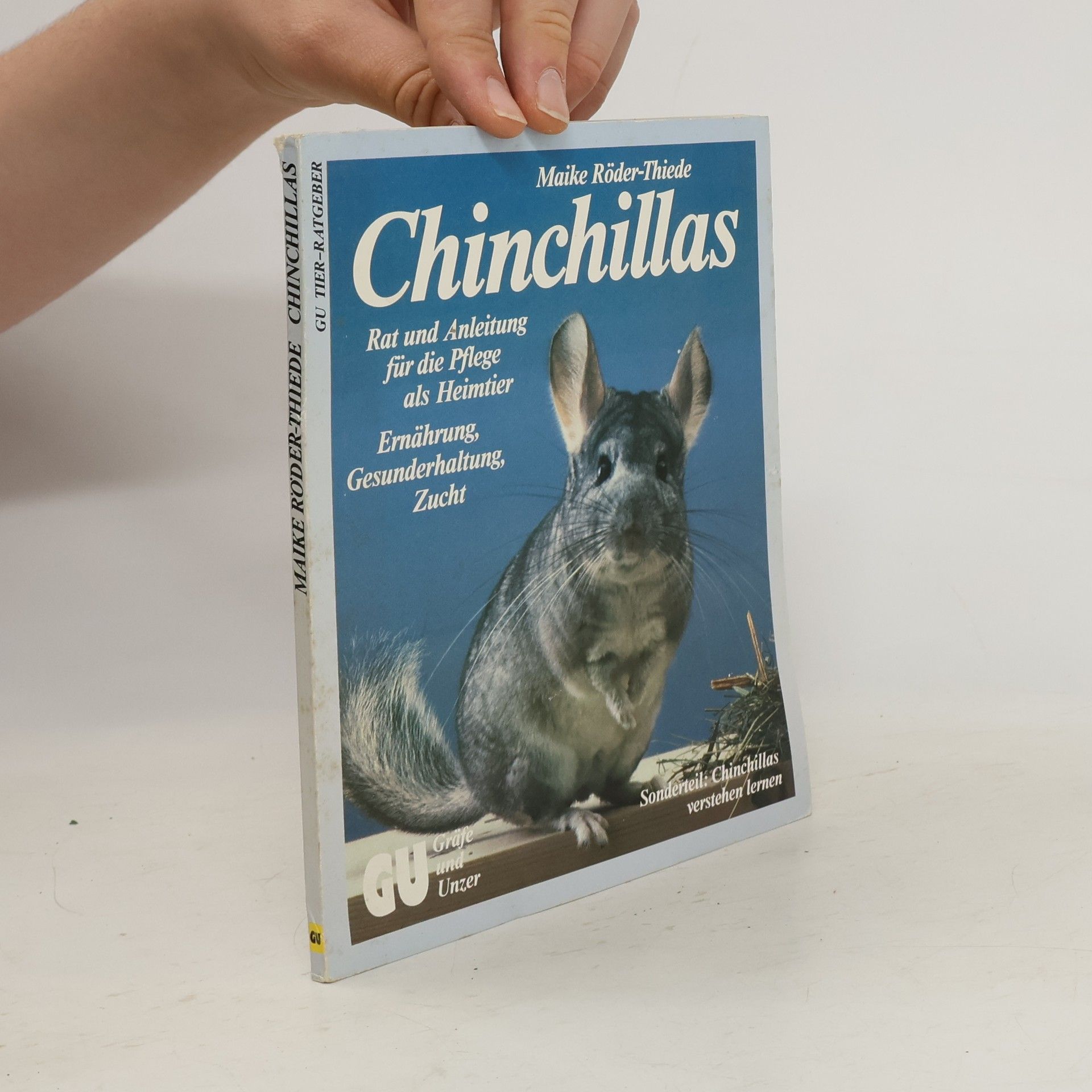 Maike RöderThiede Chinchillas