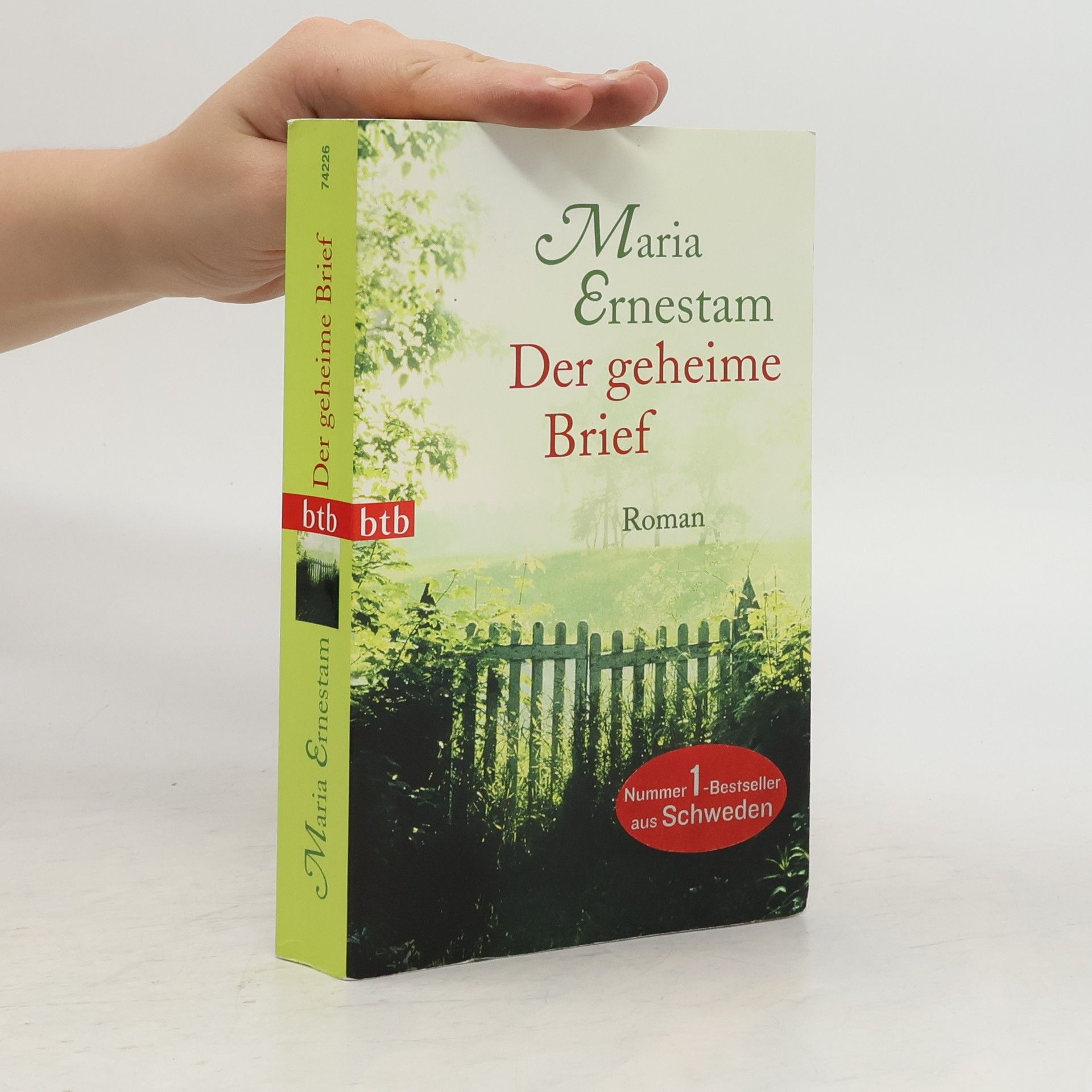 Maria Ernestam Der geheime Brief