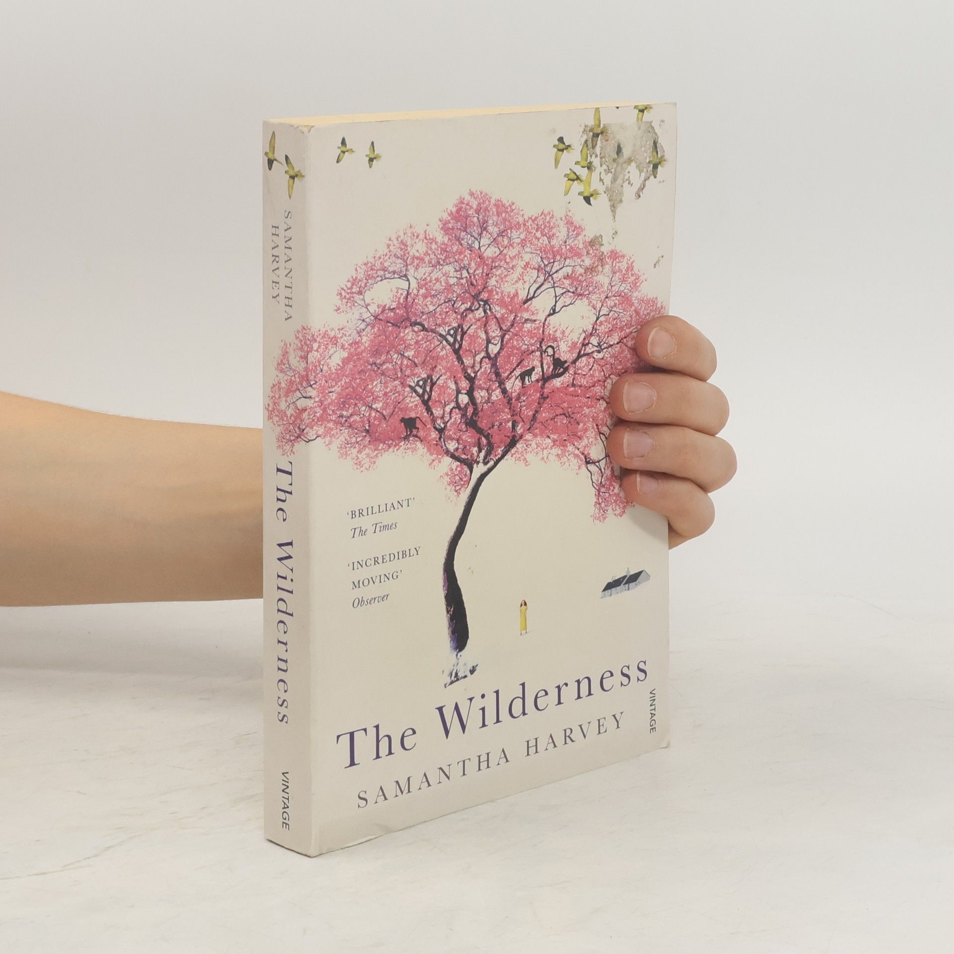 Samantha Harvey The Wilderness