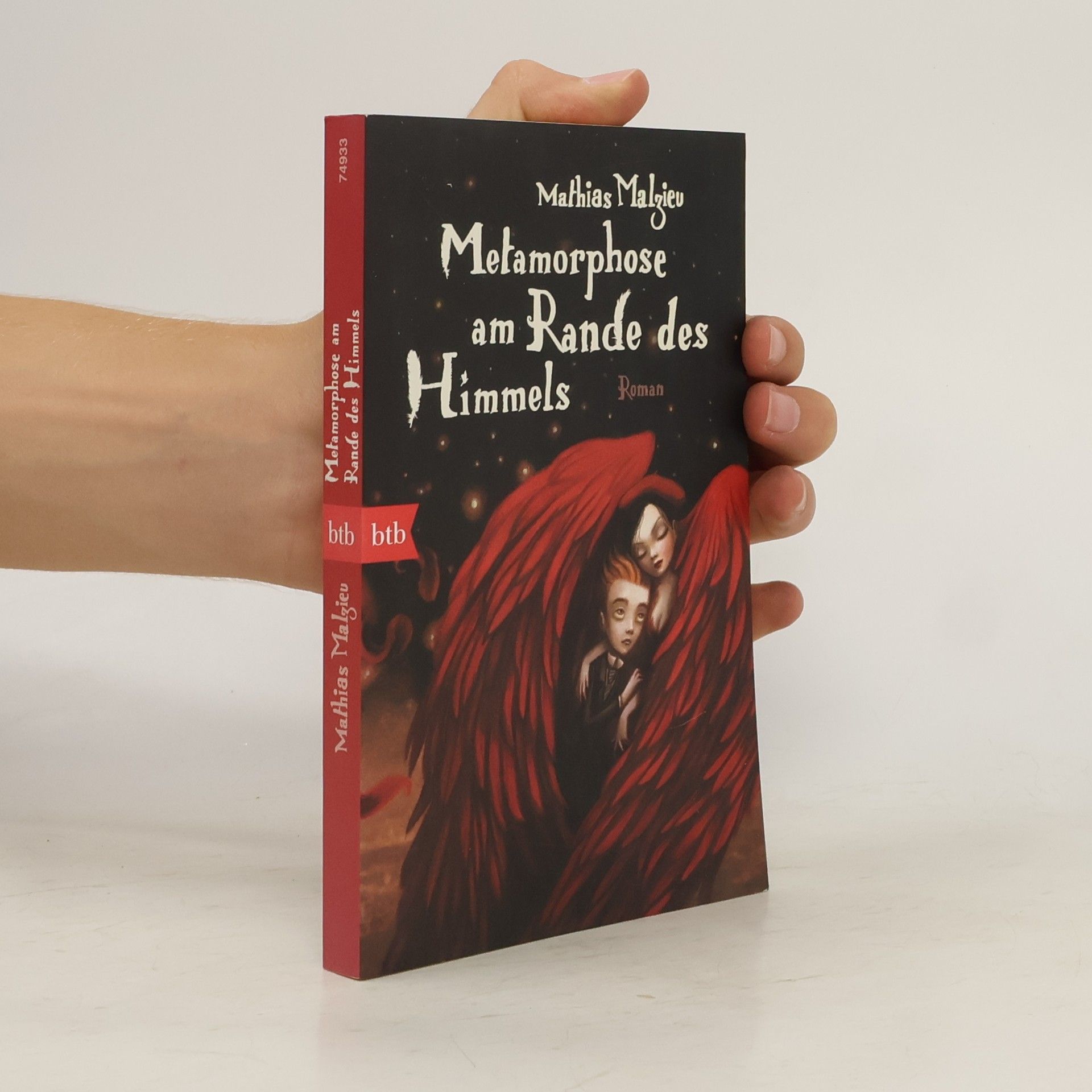Mathias Malzieu Metamorphose am Rande des Himmels