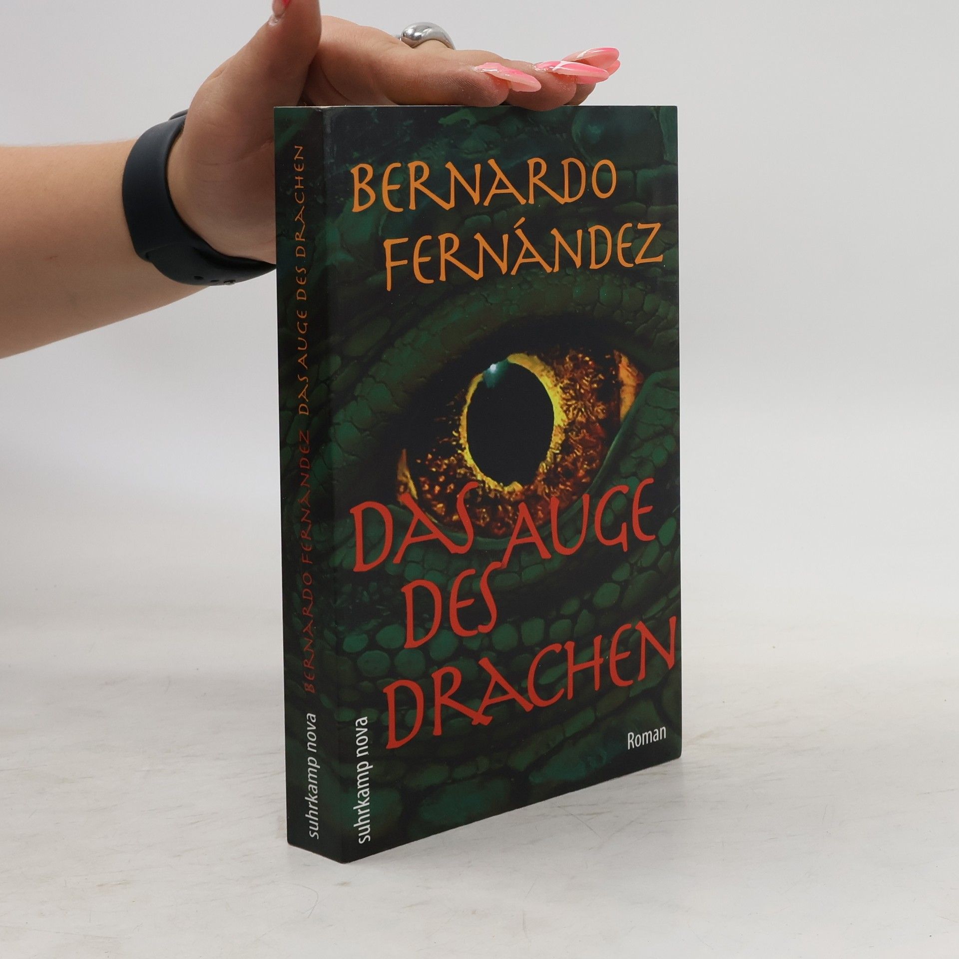 Bernardo Fernández Das Auge des Drachen