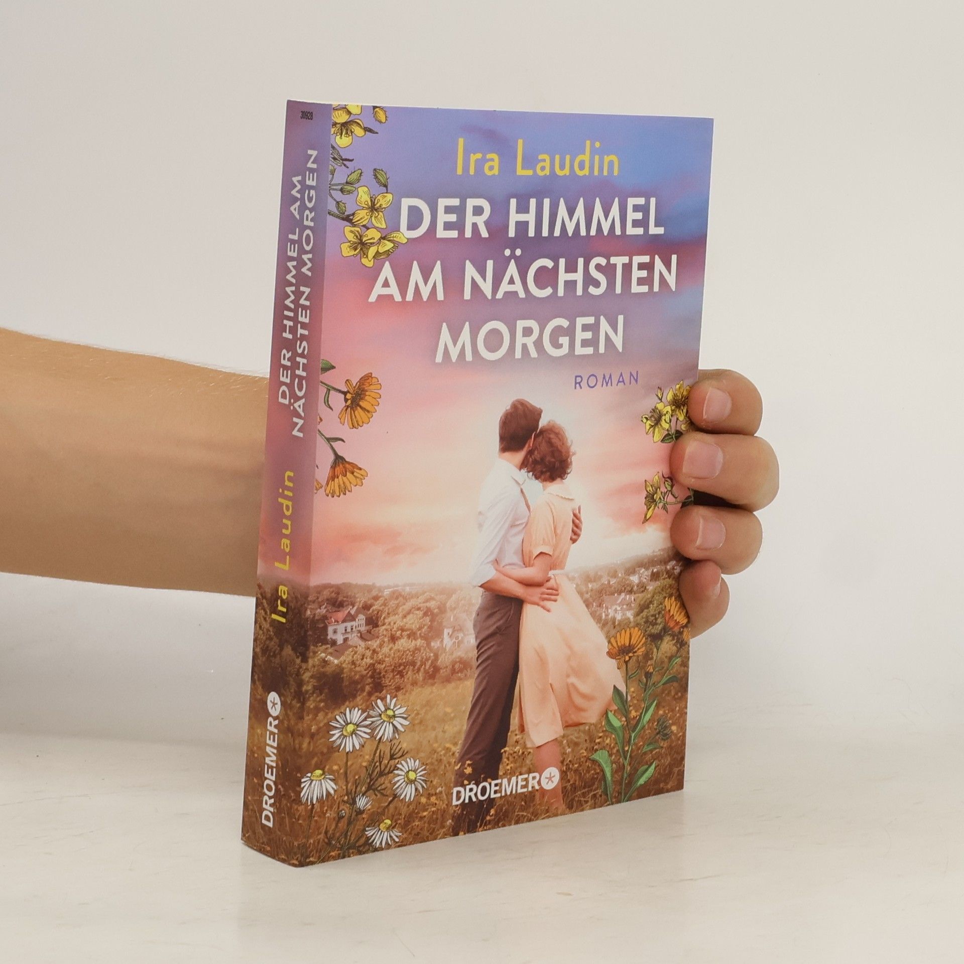 Ira Laudin Der Himmel am nächsten Morgen