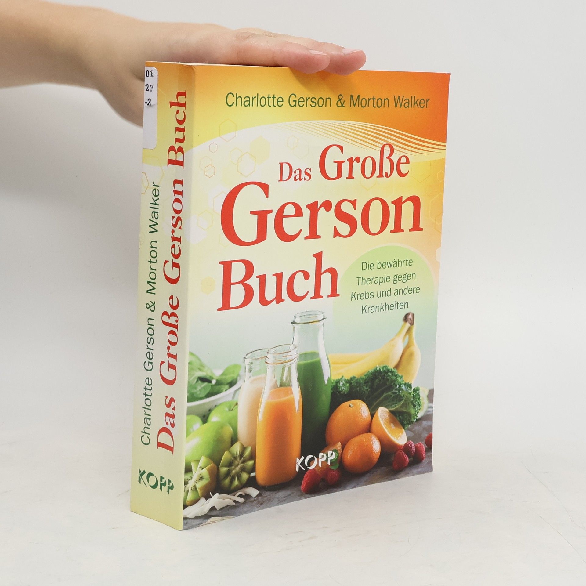Charlotte Gerson Das große Gerson Buch