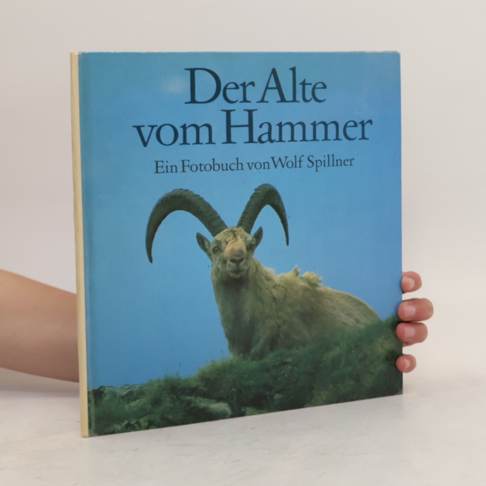 Autorenkollektiv Der Alte vom Hammer