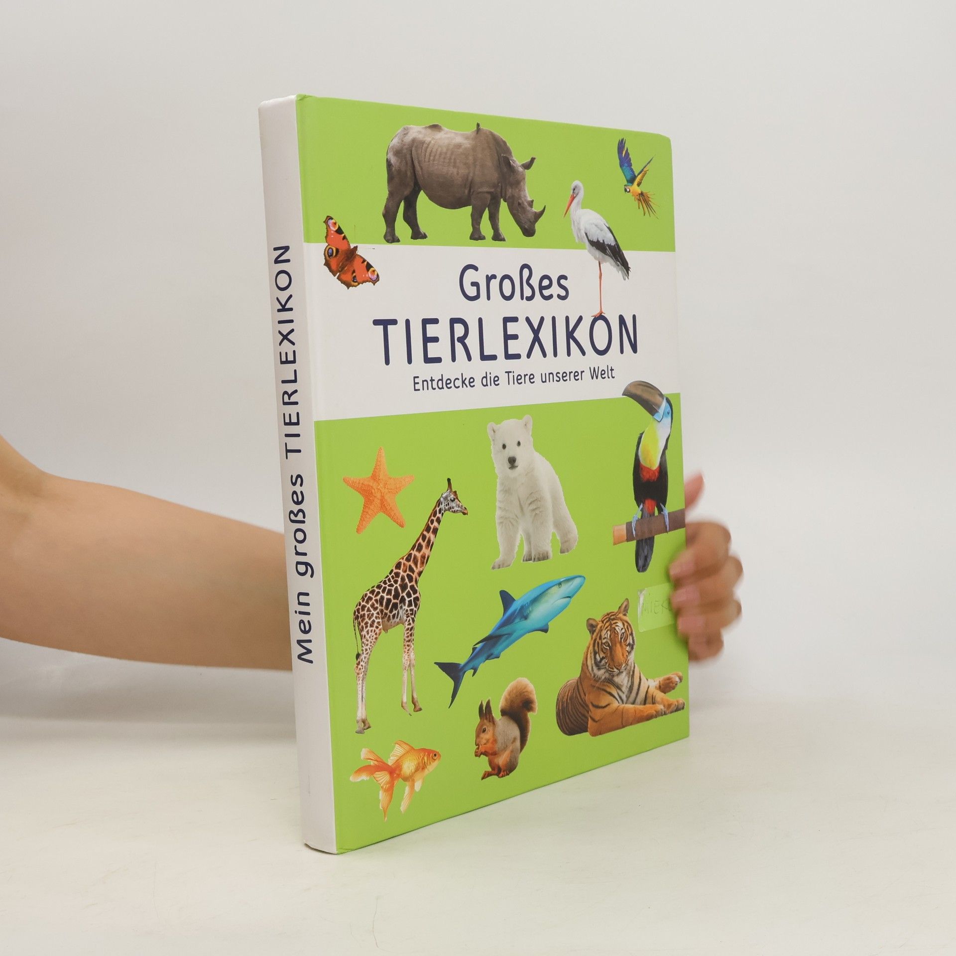 kolektiv Großes Tierlexikon. Entdecke die Tiere unserer Welt