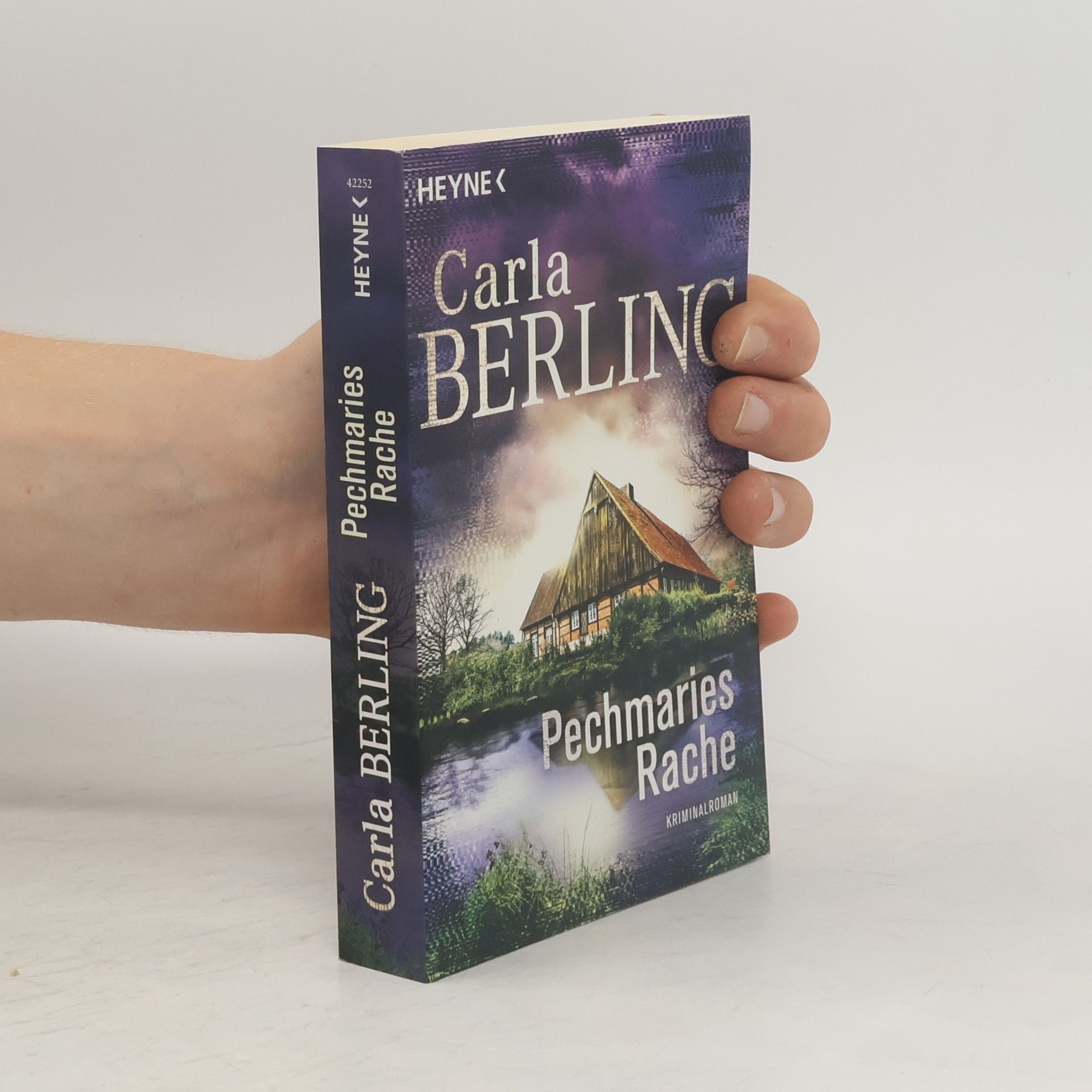 Carla Berling Pechmaries Rache (Wittekind 5)