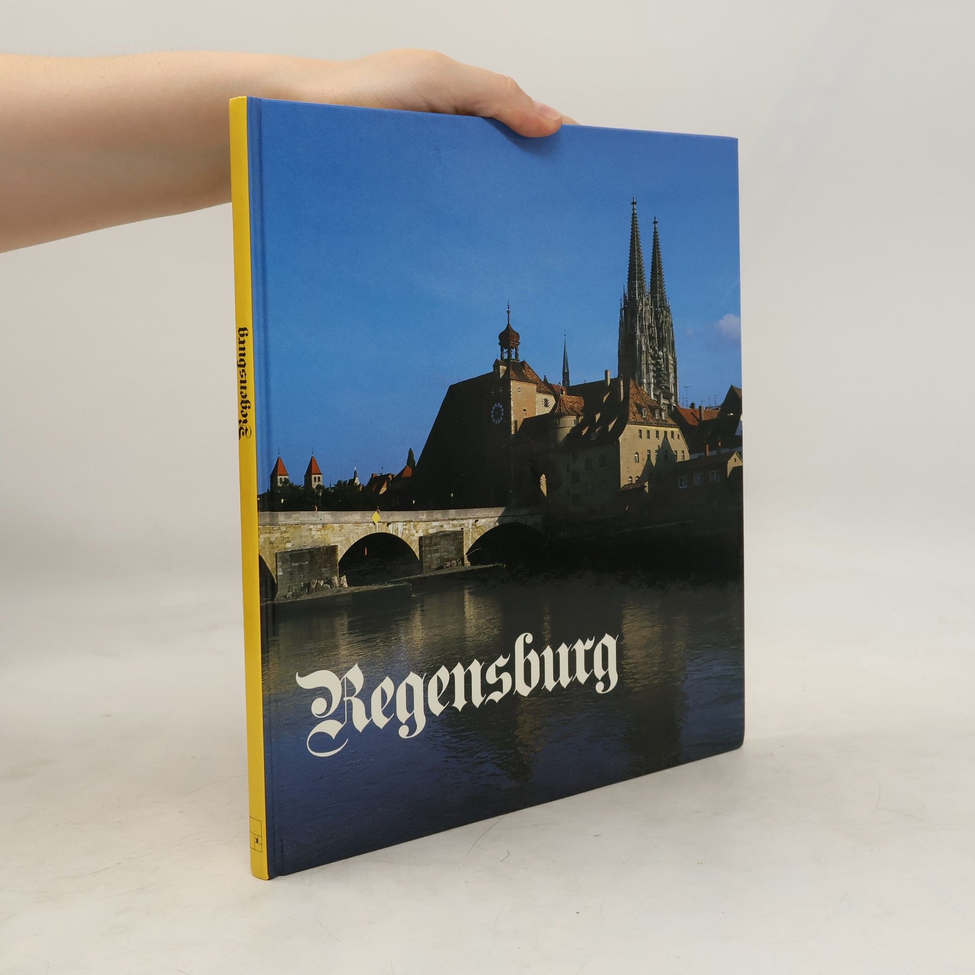 Johannes Braus Regensburg