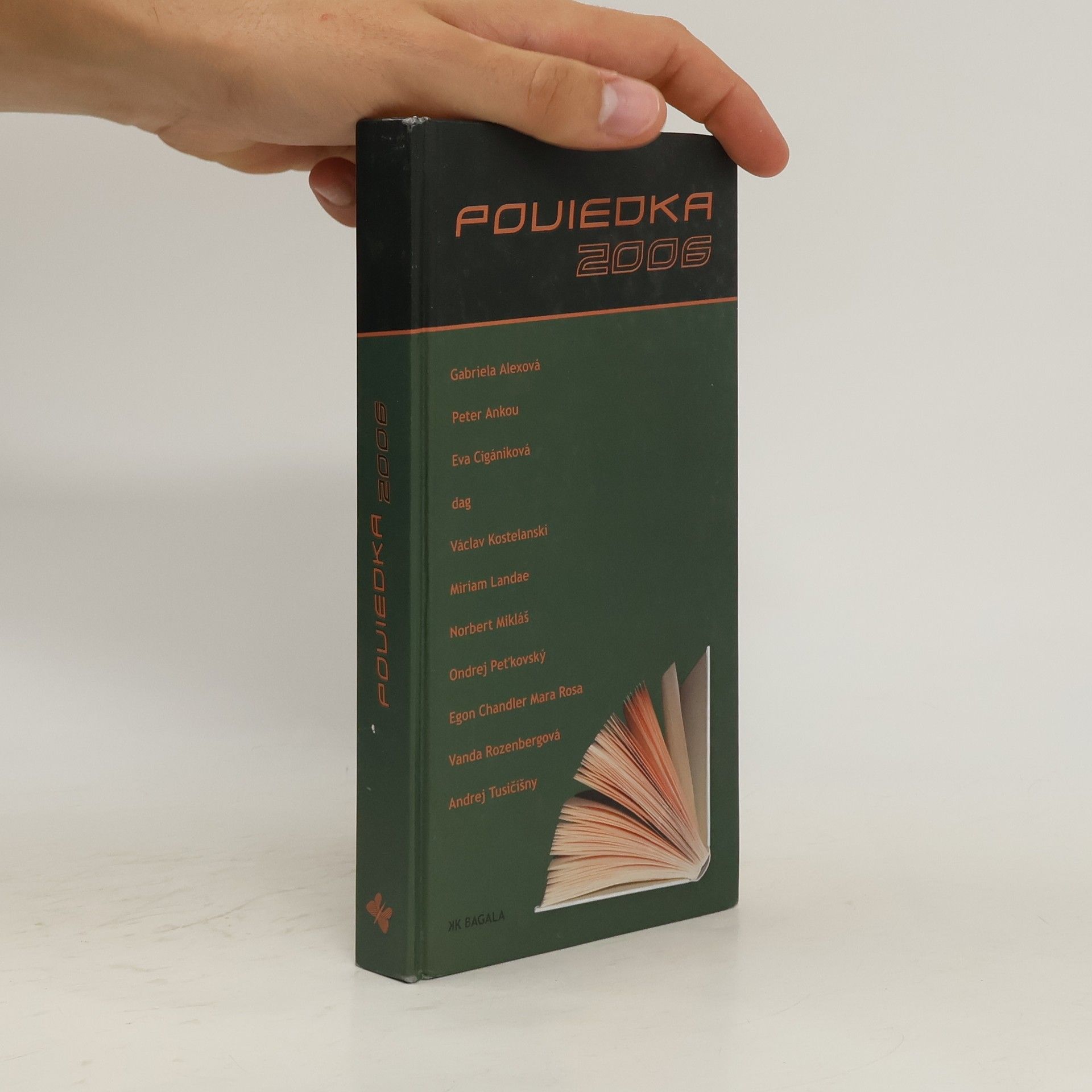 Autorenkollektiv Poviedka 2006