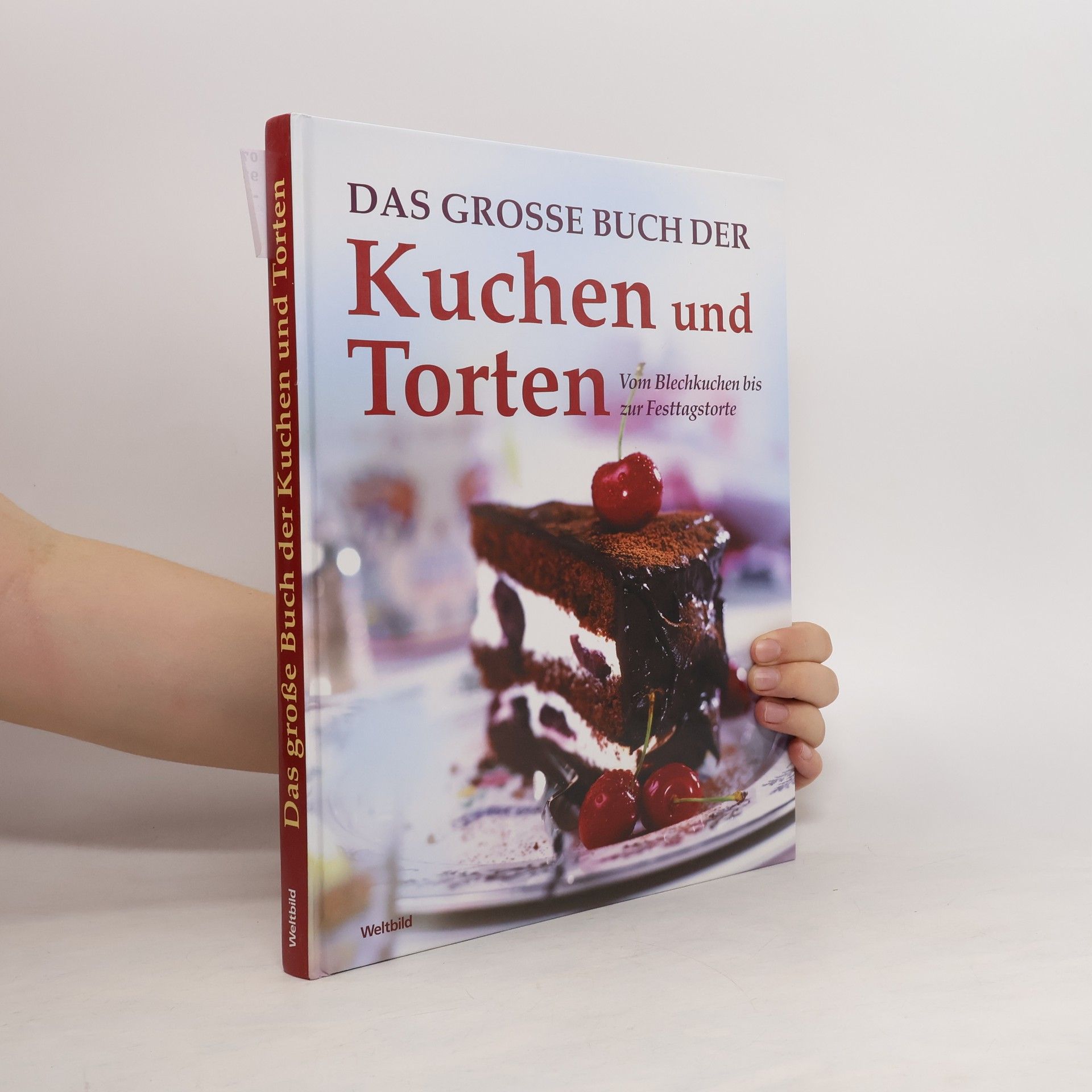 Collectif d'auteurs Das groẞe Buch der Kuchen und Torten