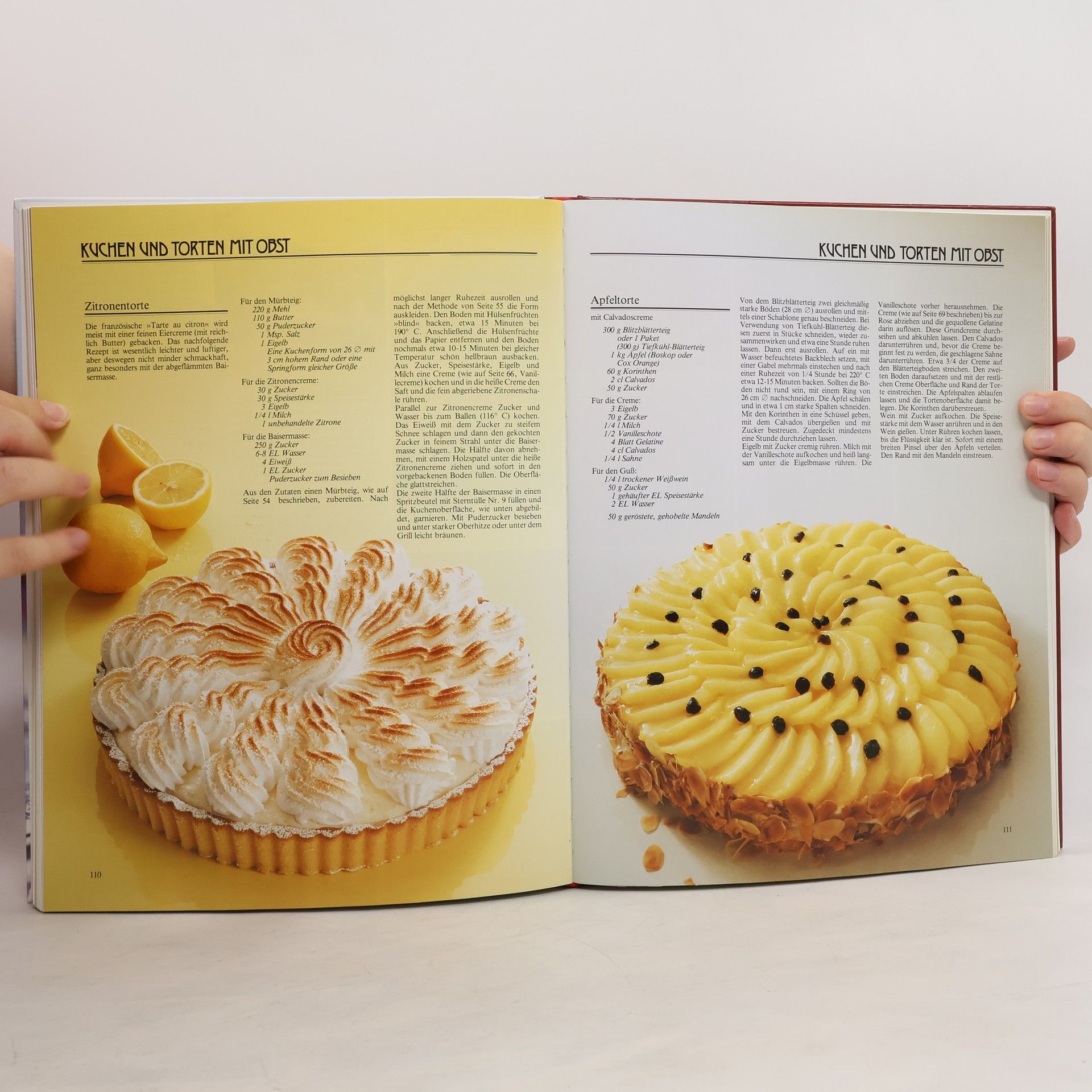 Autorenkollektiv Das groẞe Buch der Kuchen und Torten
