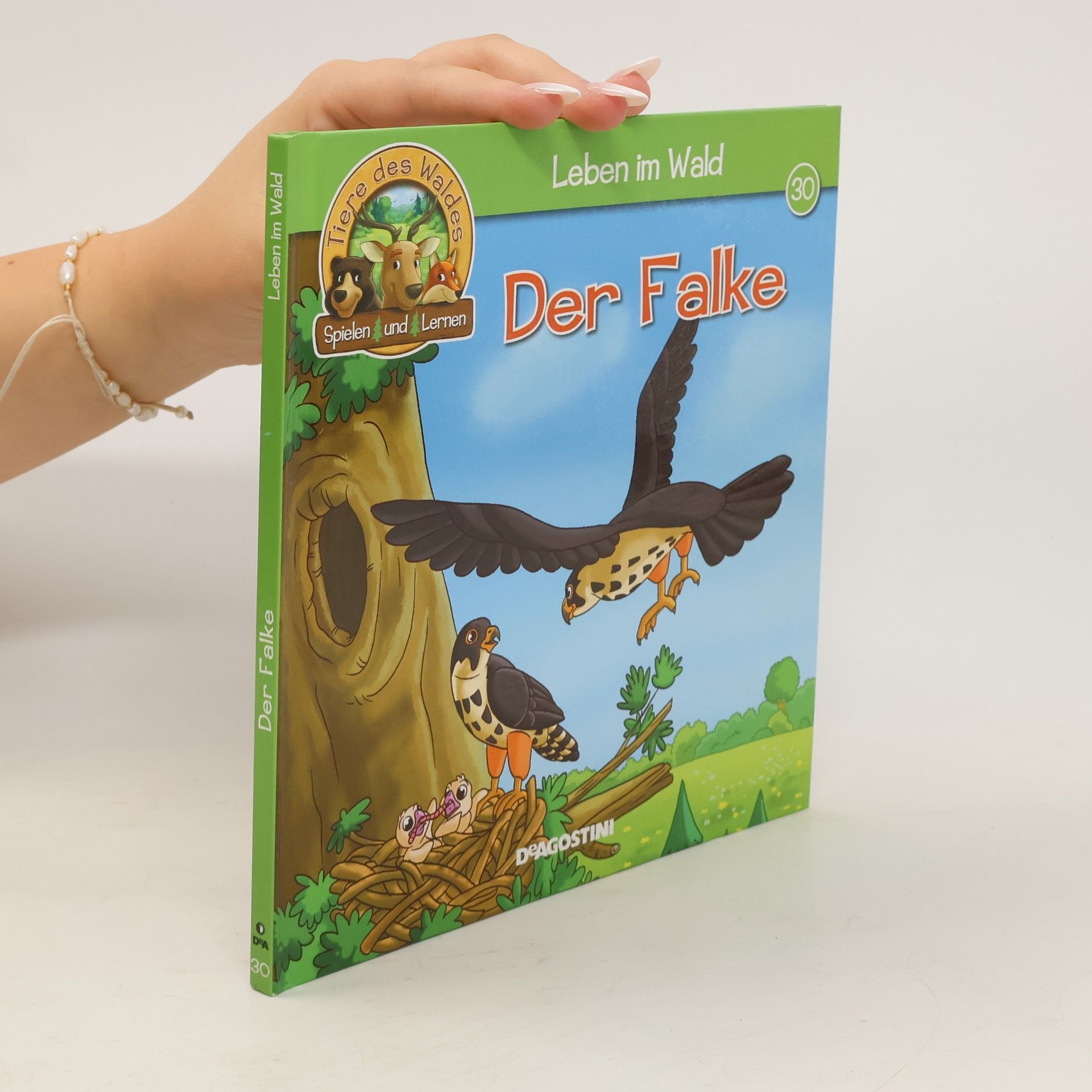 Autorenkollektiv Der Falke