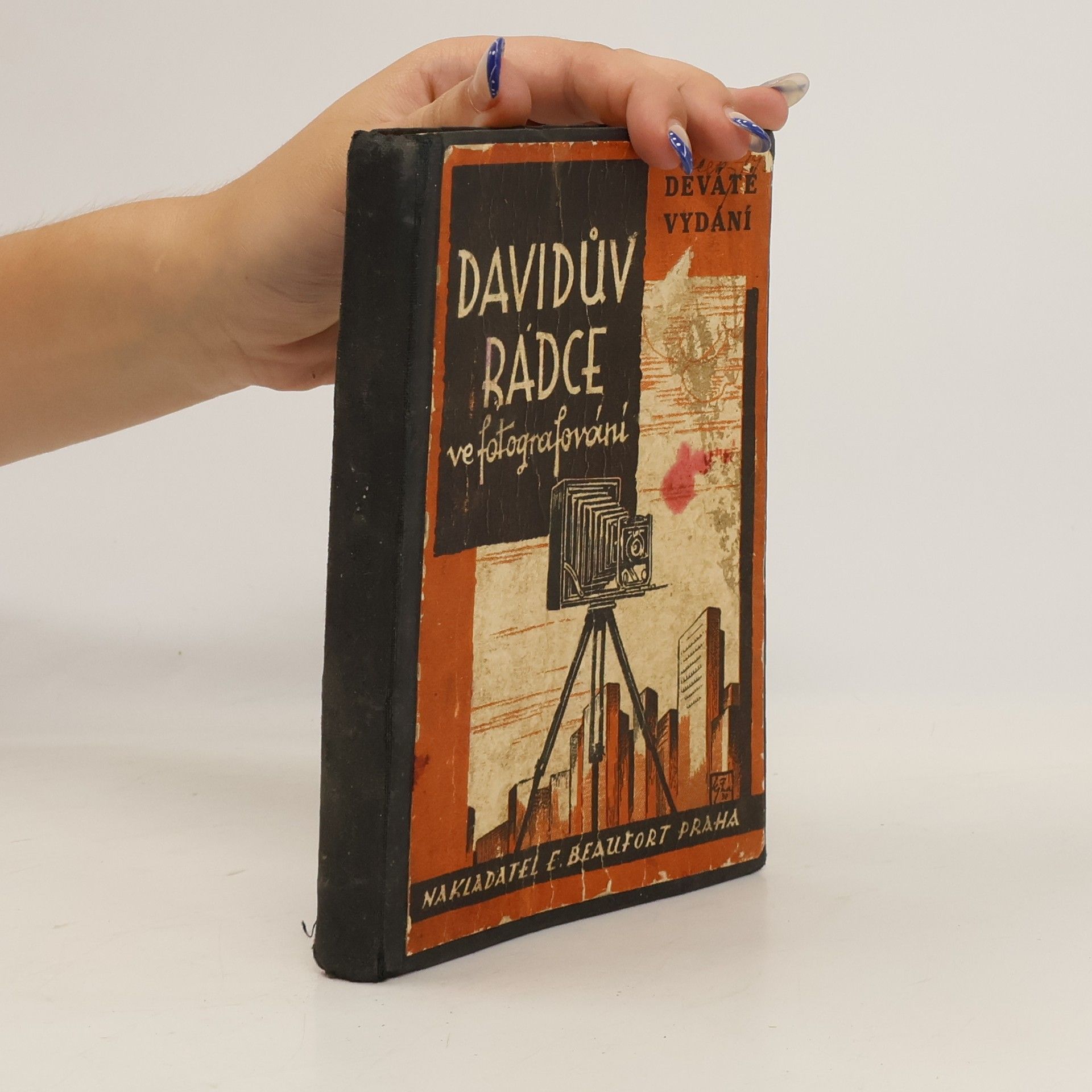 David Ludvík Davidův rádce ve fotografování
