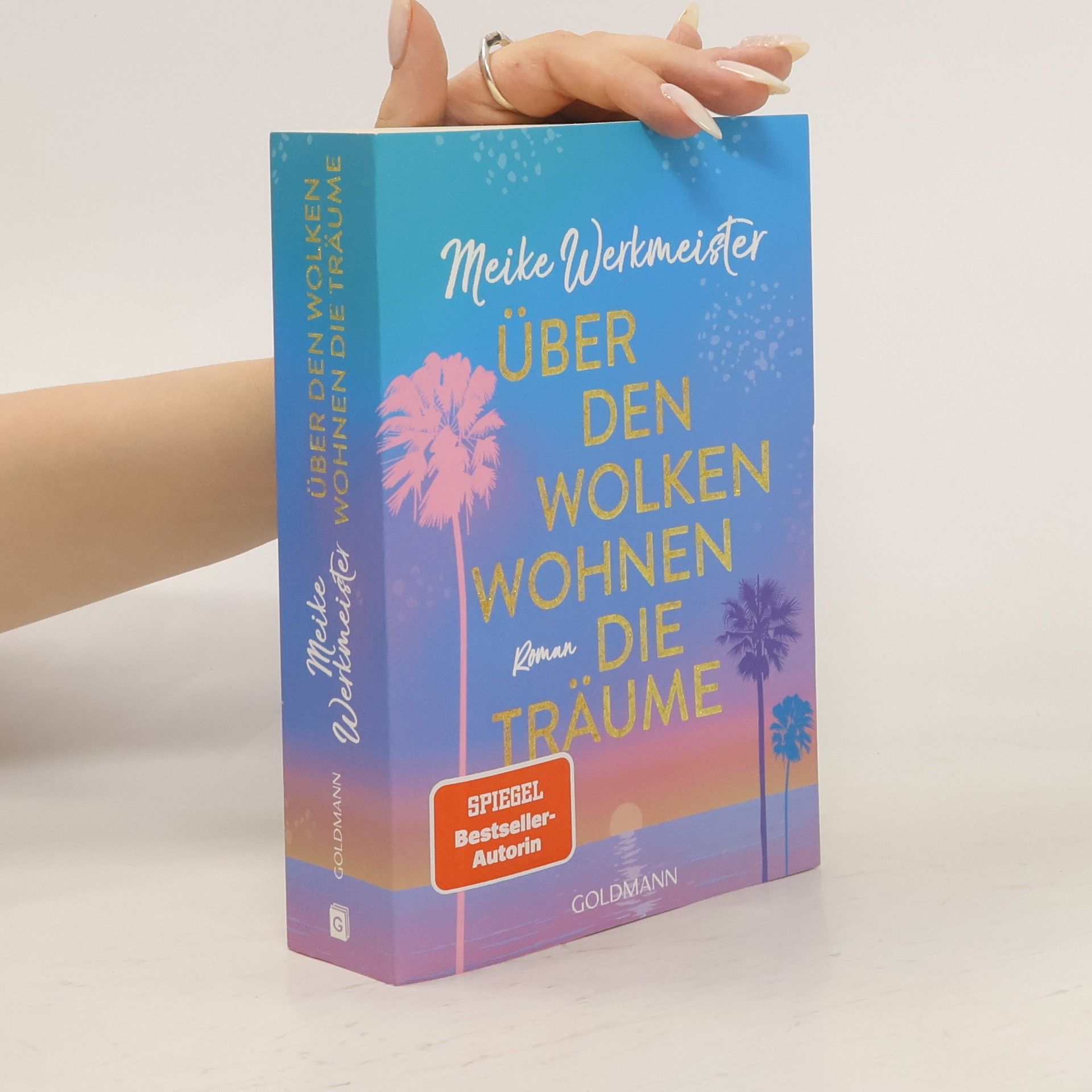 Meike Werkmeister Über den Wolken wohnen die Träume