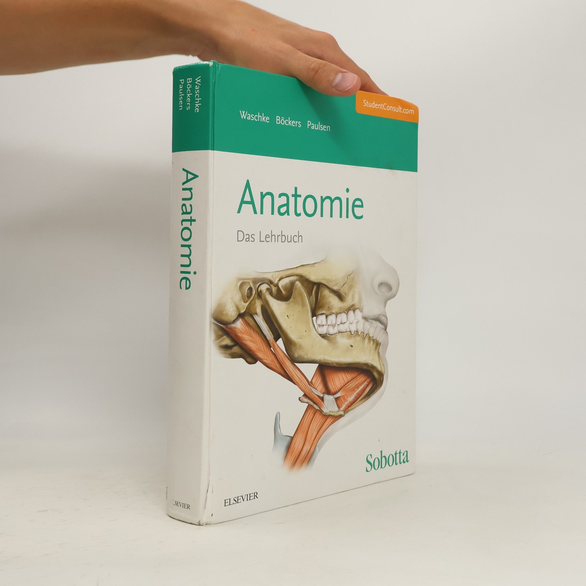 Johannes Sobotta Anatomie