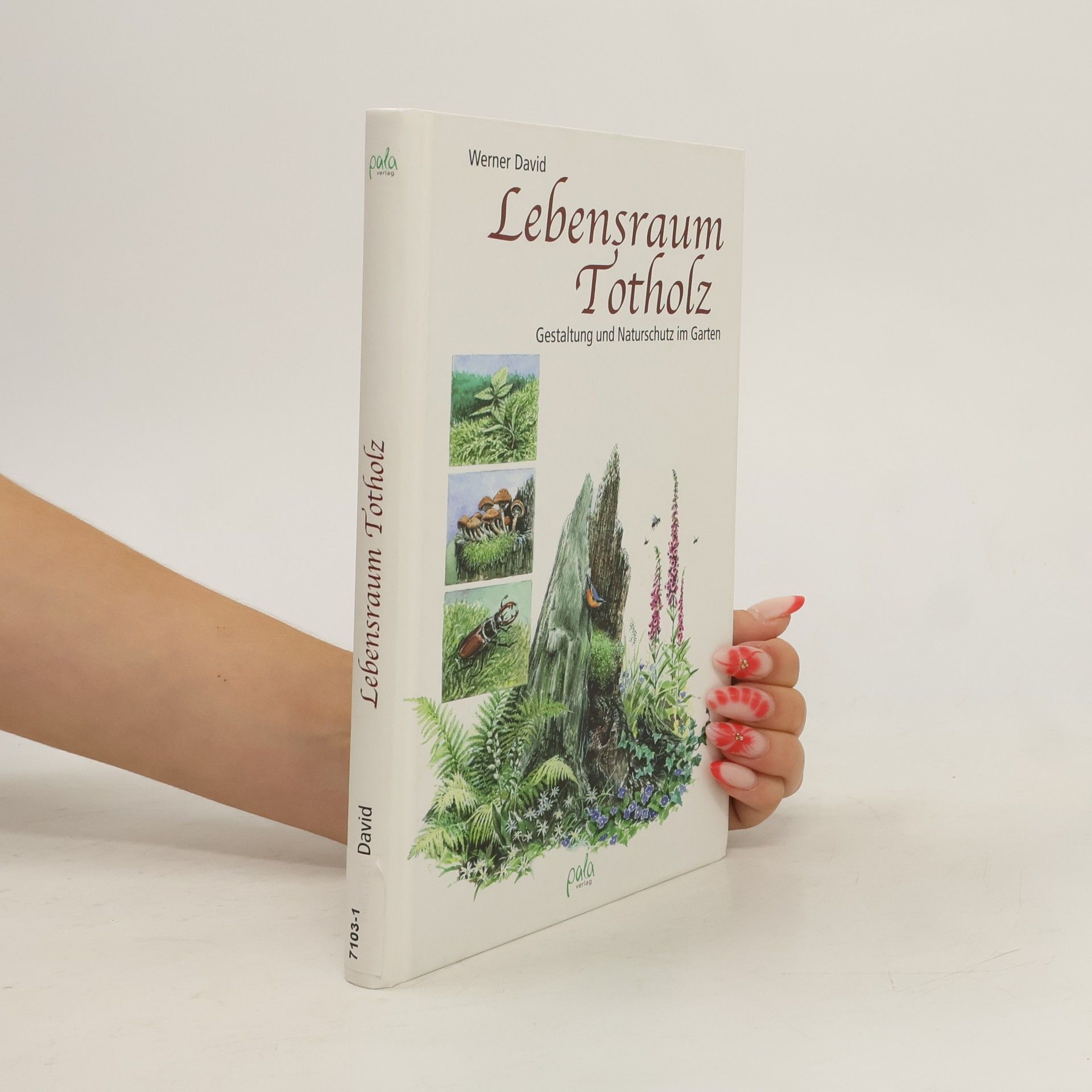 David Werner Lebensraum Totholz