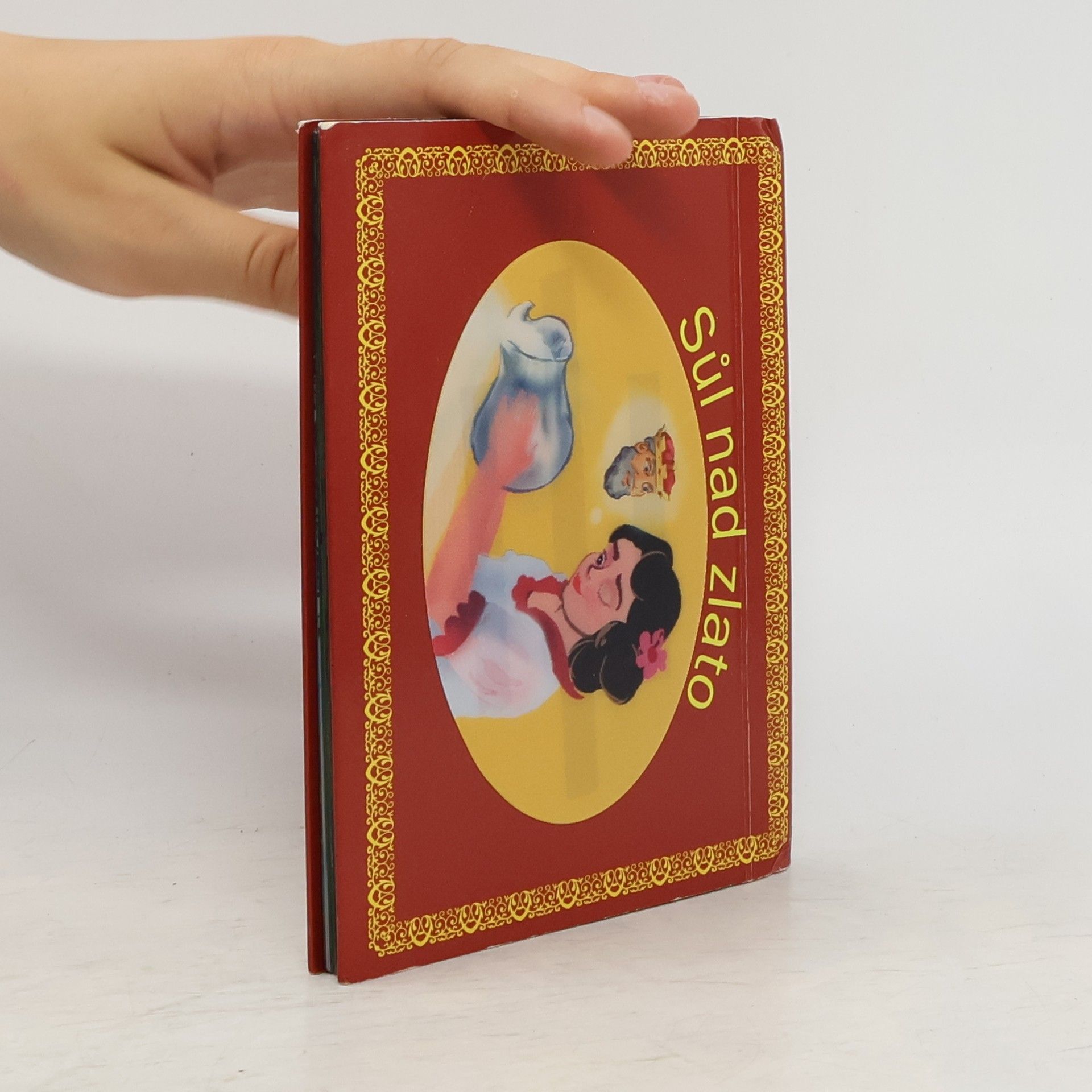 Kolektív autorov Sůl nad zlato