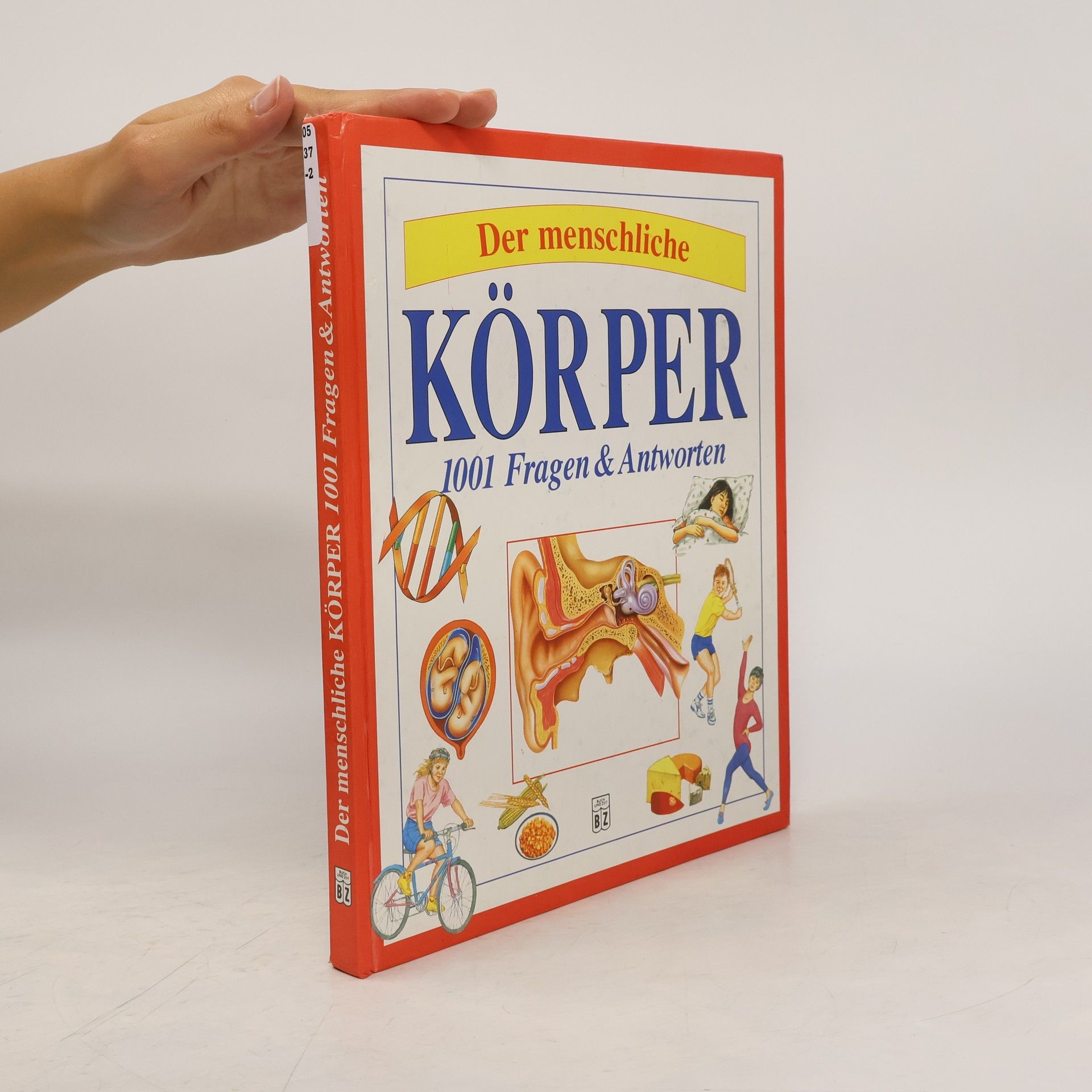 Collectif d'auteurs Körper