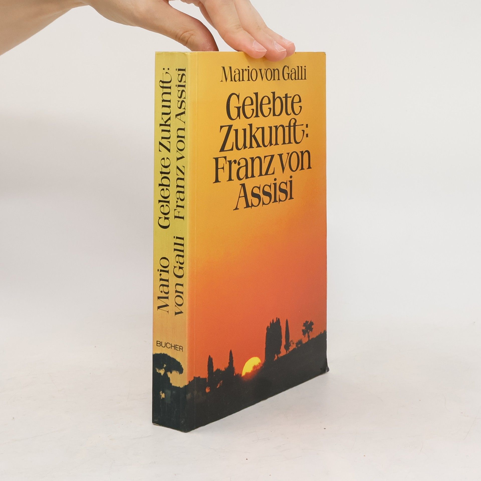Mario von Galli Gelebte Zukunft. Franz von Assisi