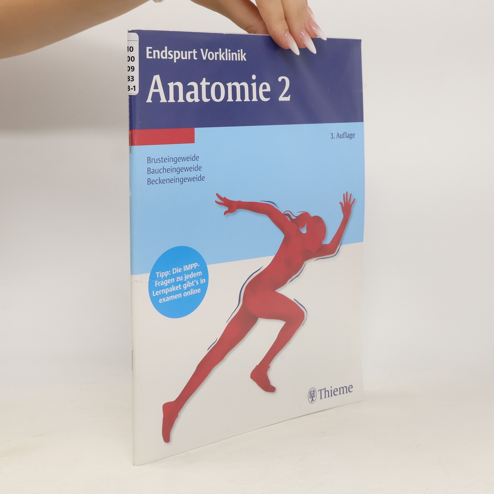 Stuttgart Thieme Anatomie. Tl.2