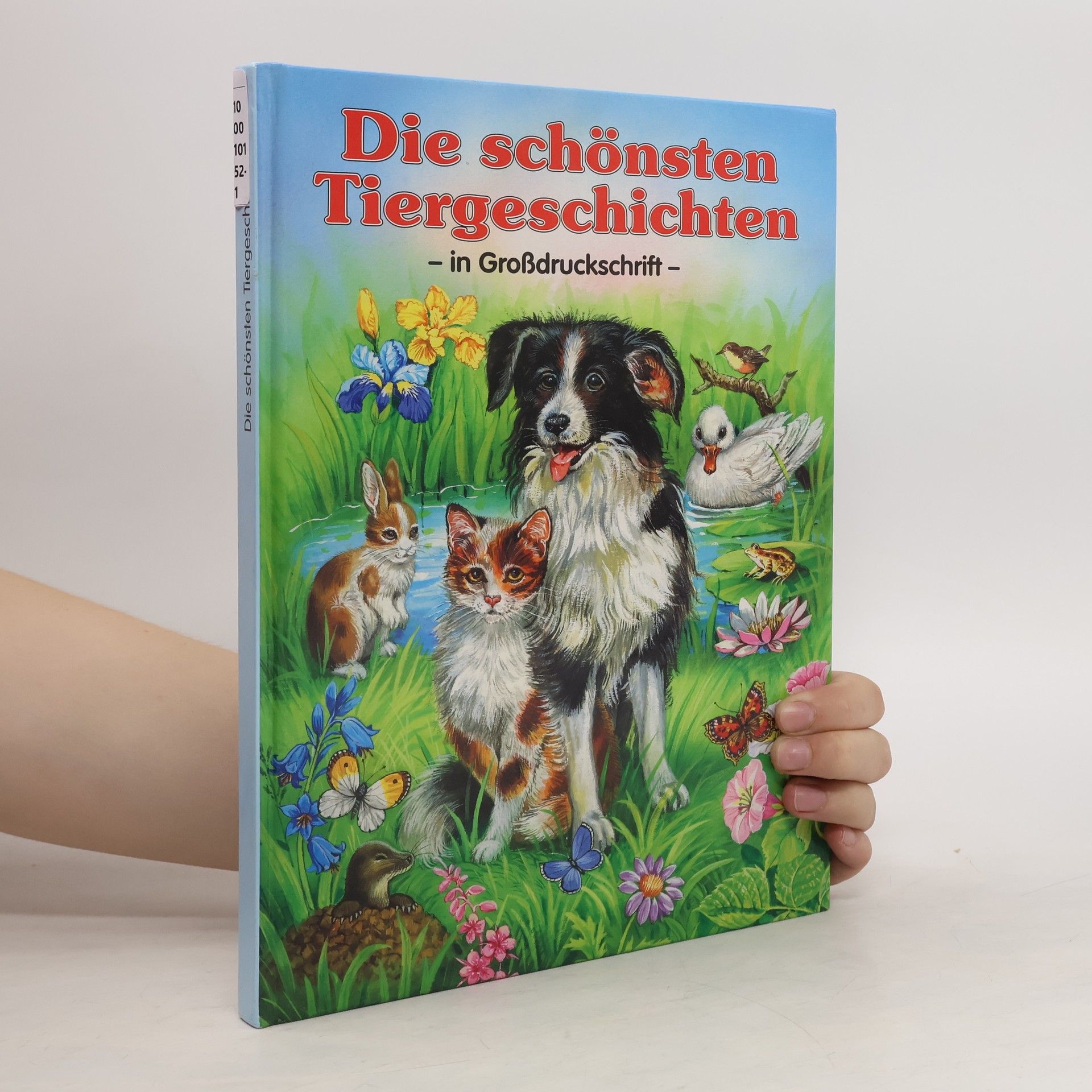 Katja Epes Die schönsten Tiergeschichten