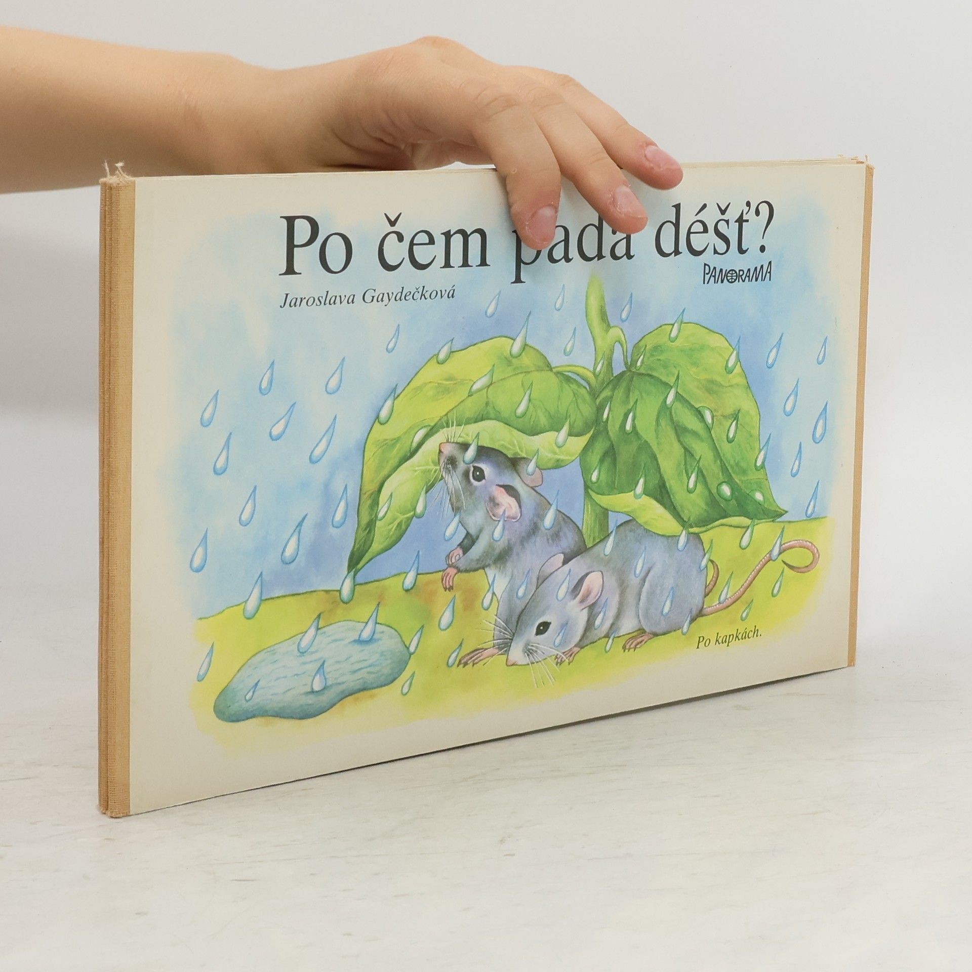 Jaroslava Gaydečková Po čem padá déšť?