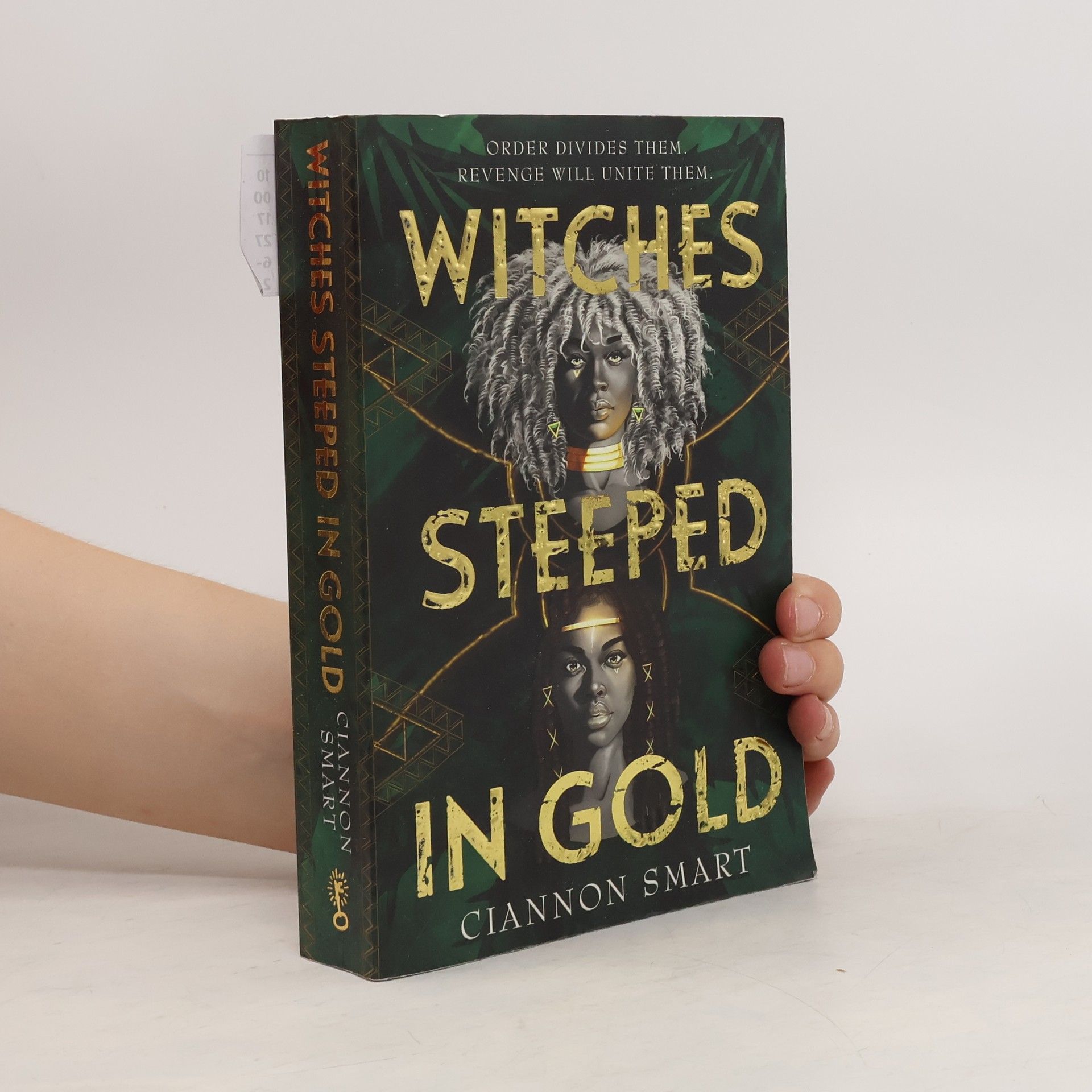 Ciannon Smart Witches Steeped in Gold