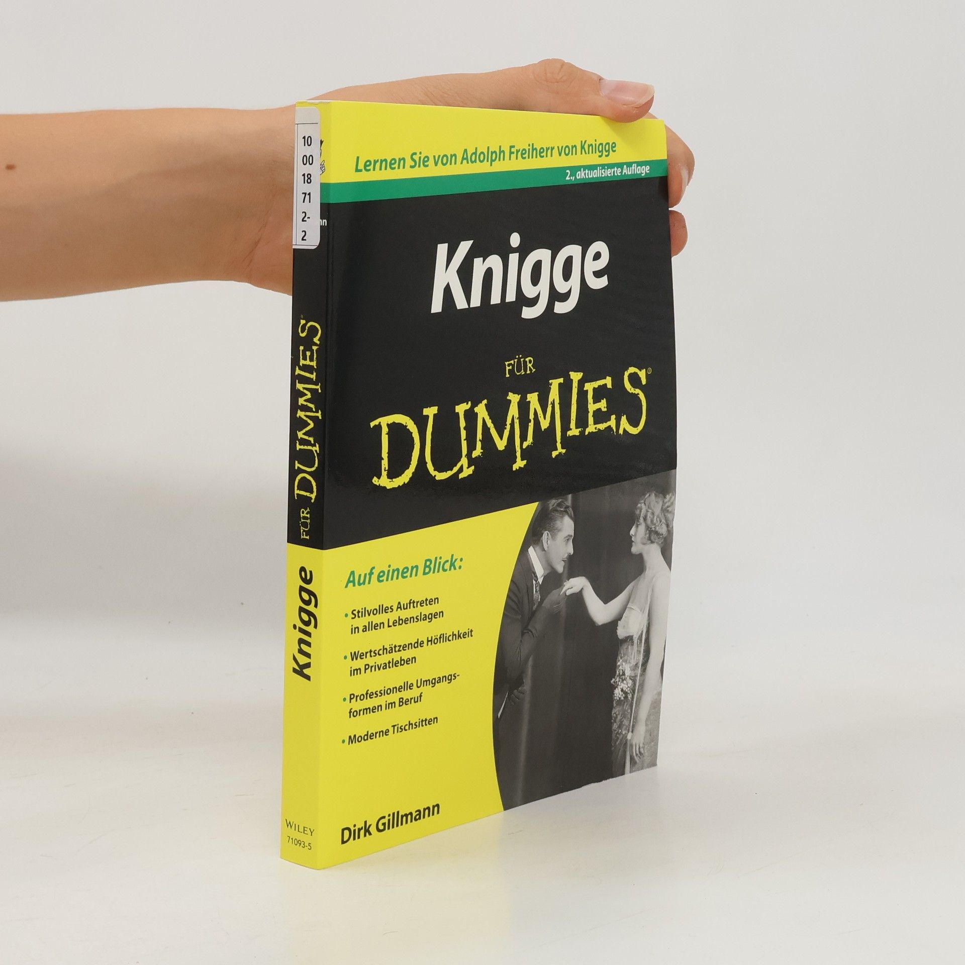 Dirk Gillmann Knigge für Dummies