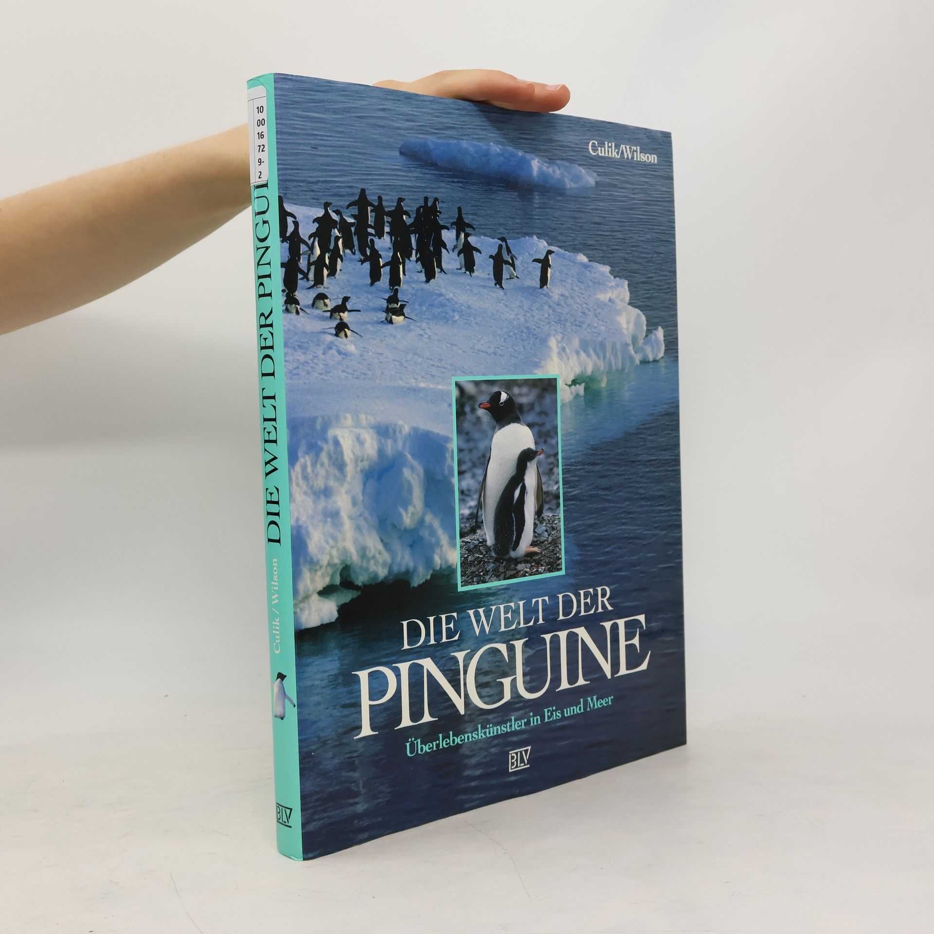 Boris M. Culik Die Welt der Pinguine