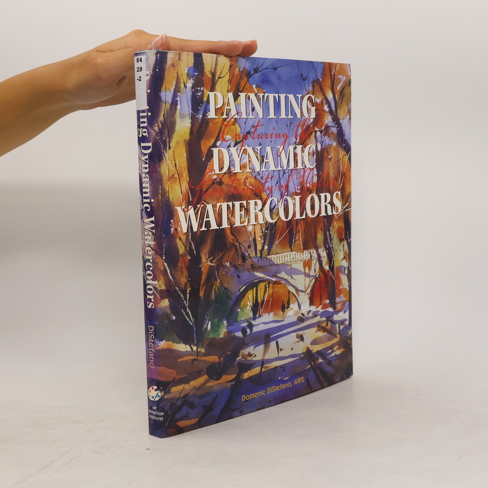 Domenic DiStefano Painting Dynamic Watercolors