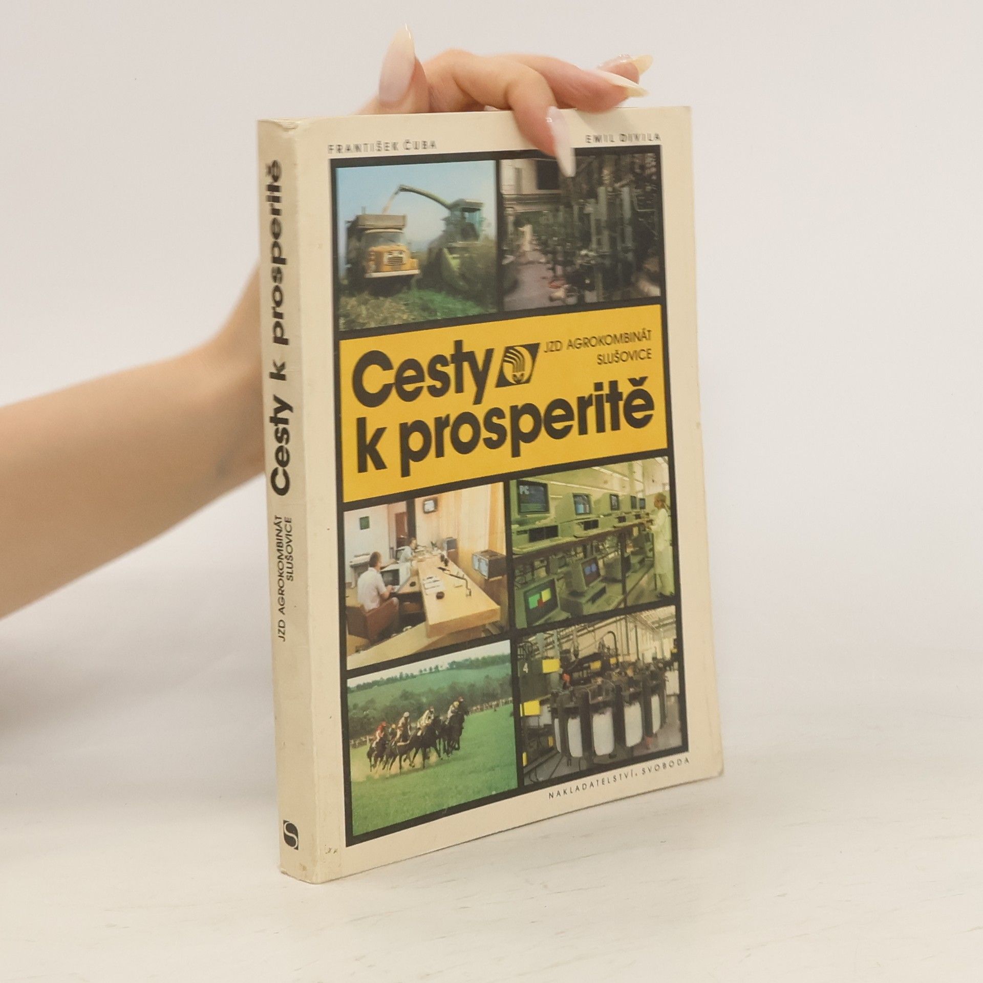 Emil Divila Cesty k prosperitě