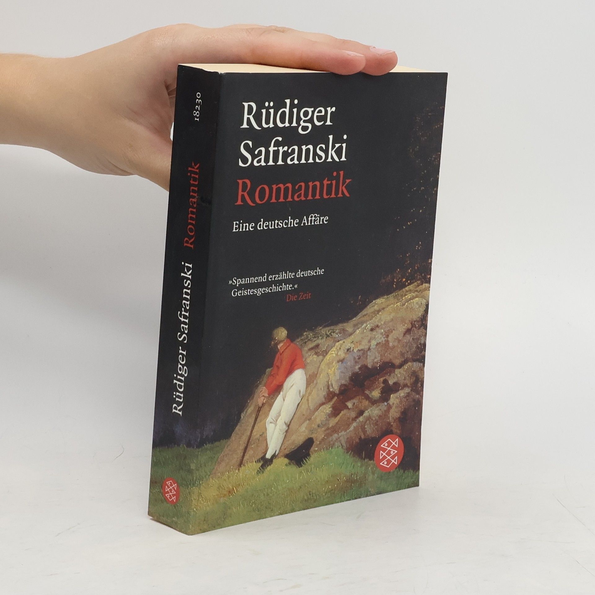 Rüdiger Safranski Romantik