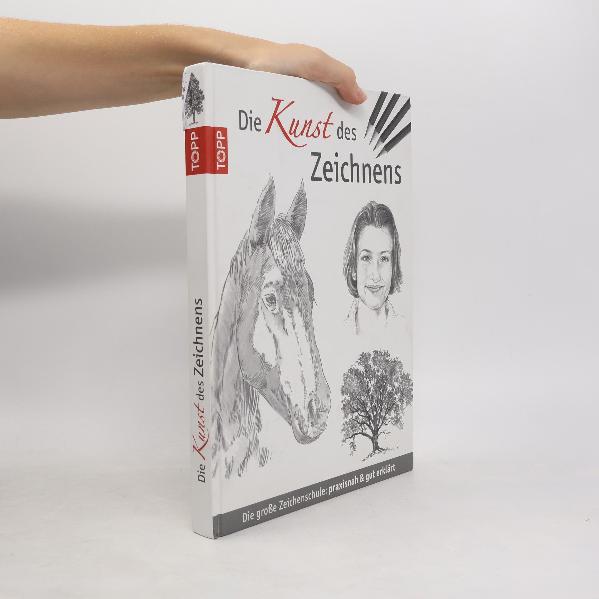 Collective Die Kunst des Zeichnens