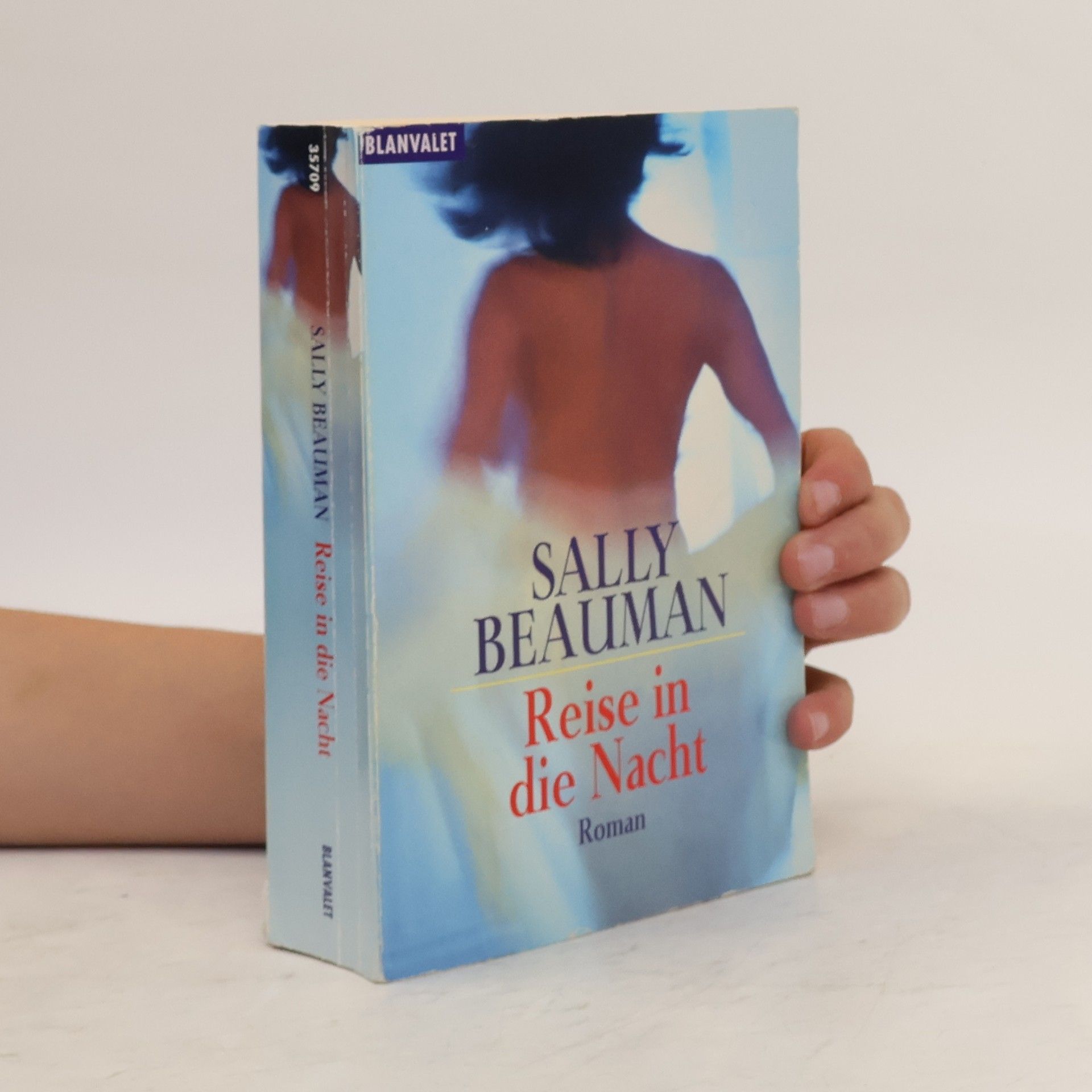 Sally Beauman Reise in die Nacht