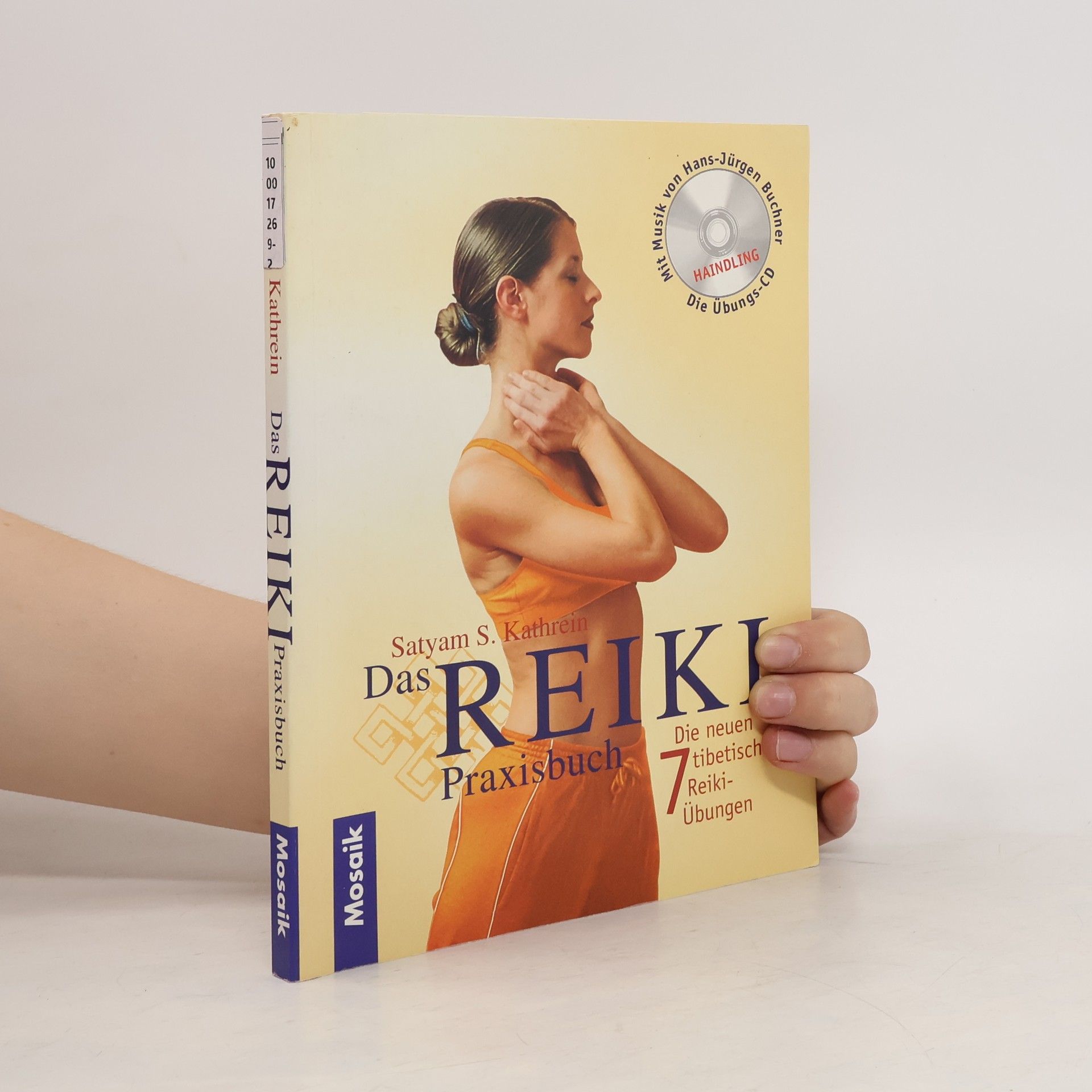 Auteurscollectief Das Reiki-Praxisbuch