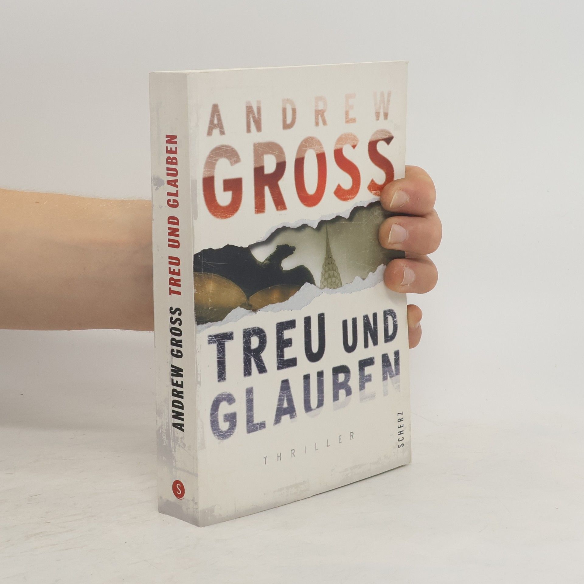 Andrew Gross Treu und Glauben