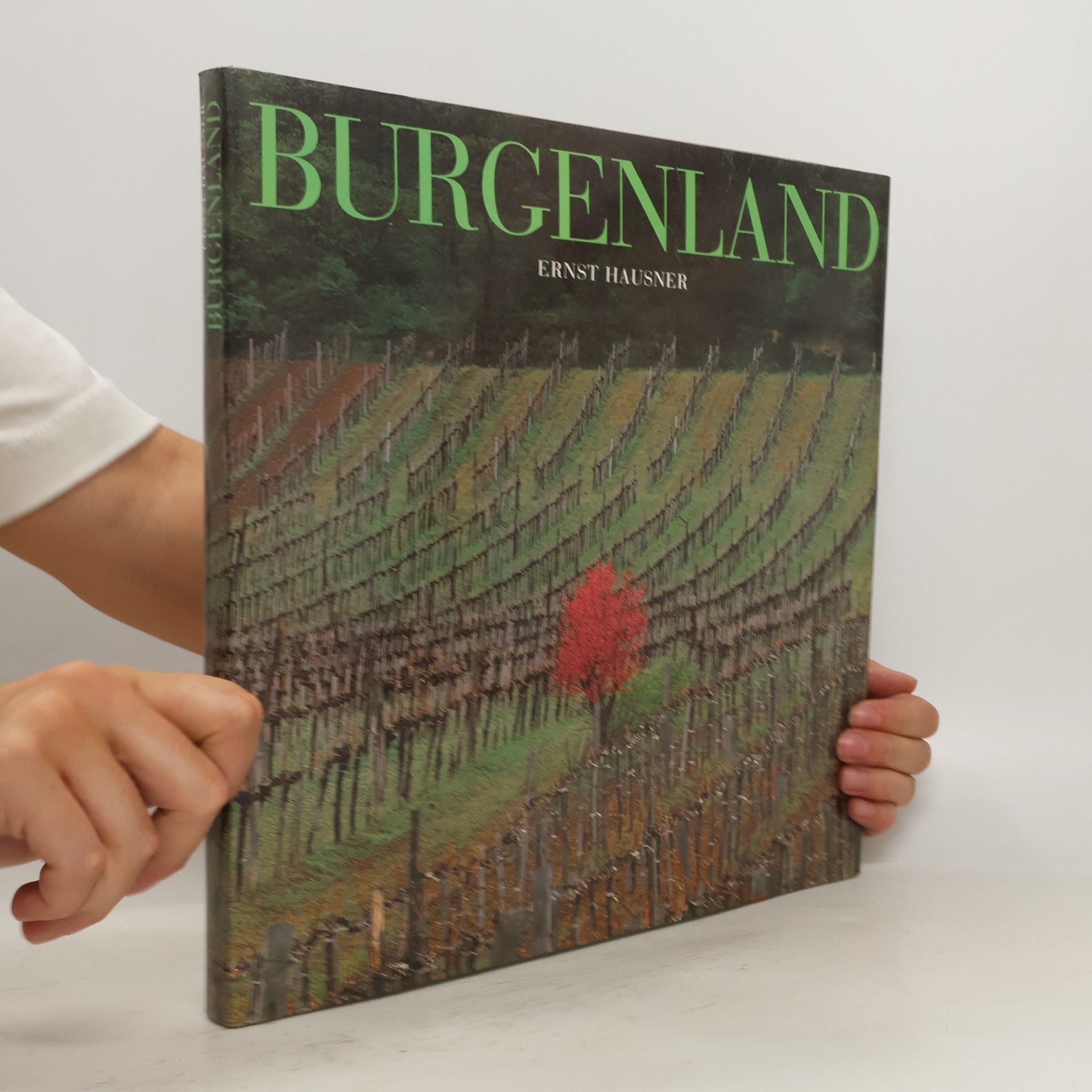 Ernst Hausner Burgenland