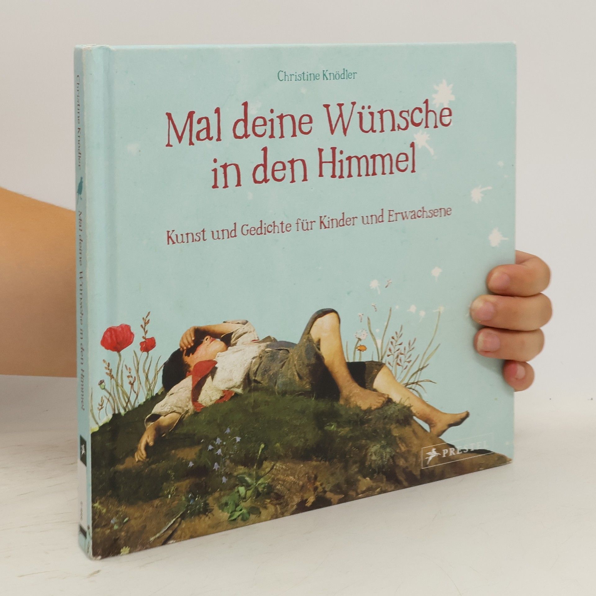 Christine Knödler Mal deine Wünsche in den Himmel