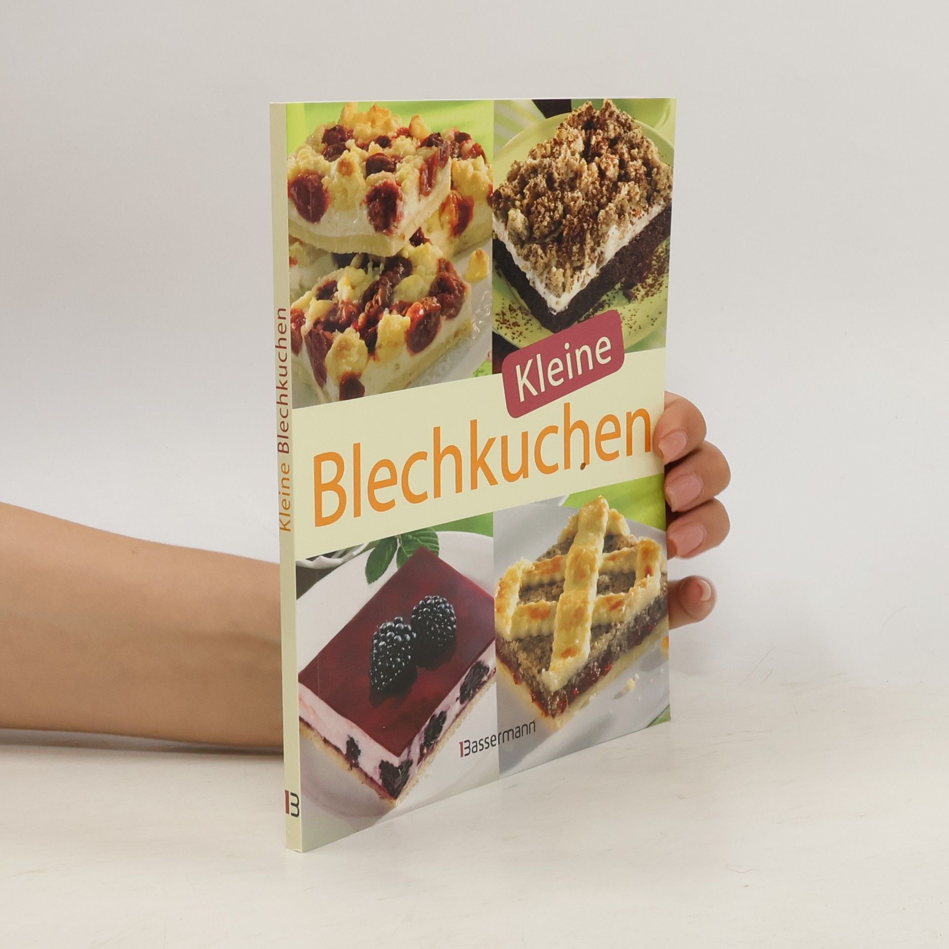 Autorenkollektiv Kleine Blechkuchen (ohne Blech)