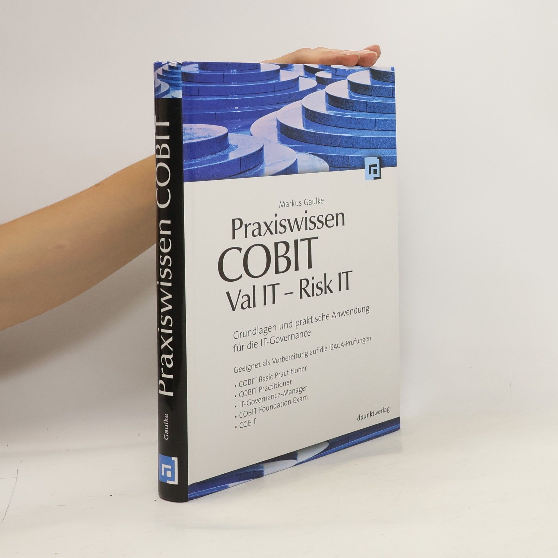 Markus Gaulke Praxiswissen COBIT - Val IT - Risk IT