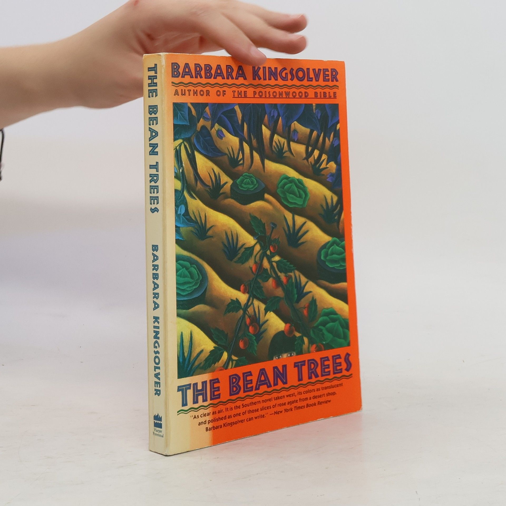 Barbara Kingsolver The Bean Trees