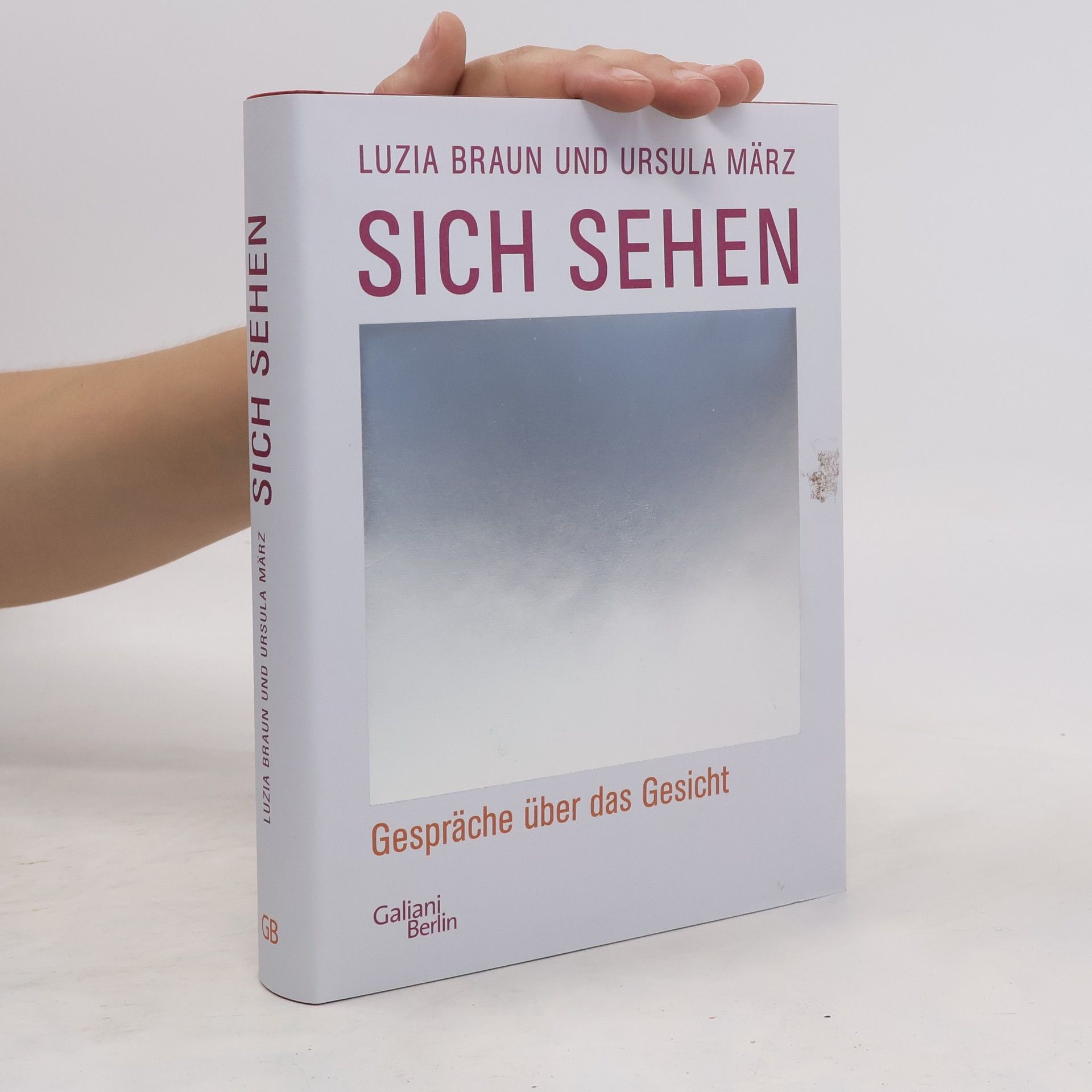 Luzia Braun Sich sehen. Gespräche über das Gesicht