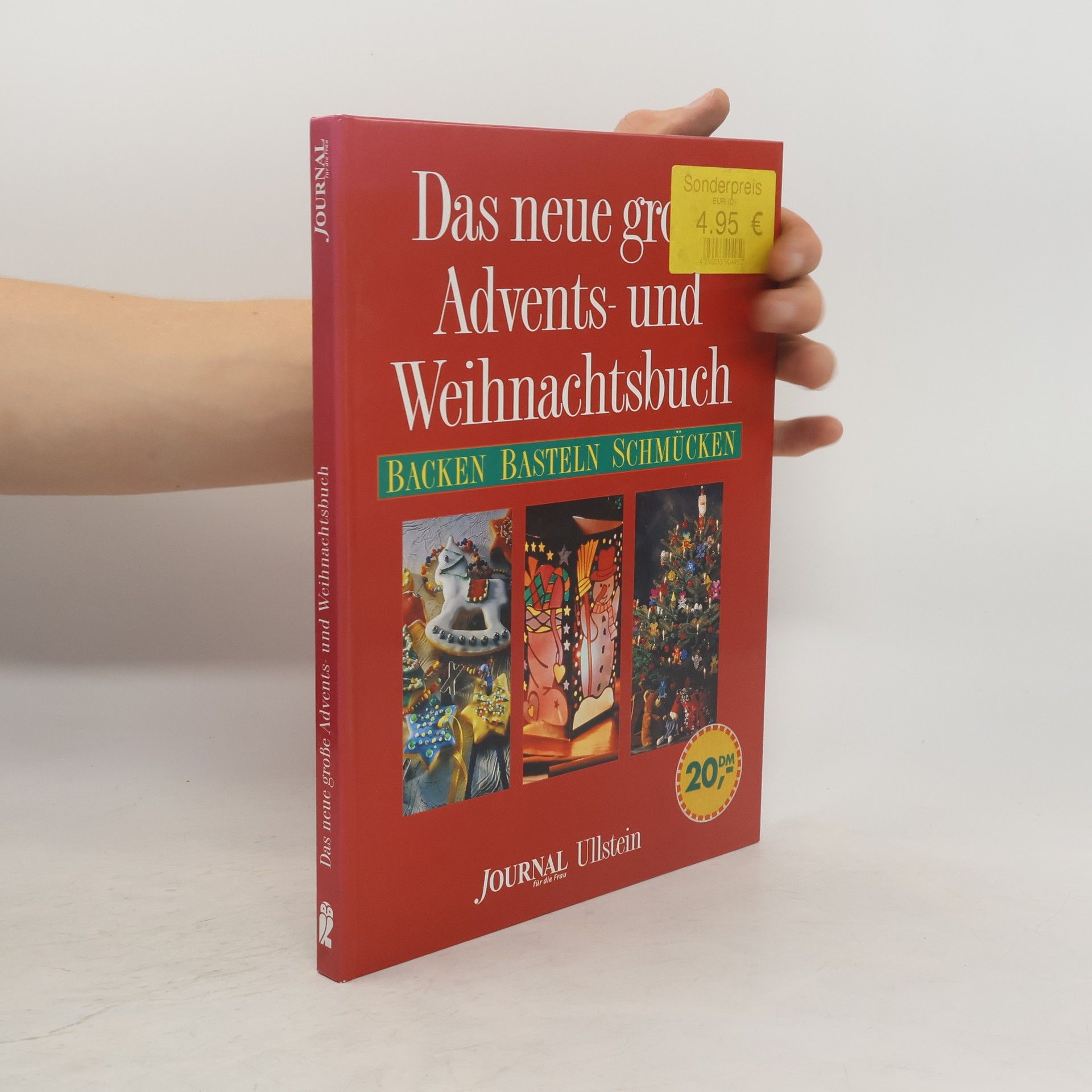 Jo van den Berg Das neue große Advents- und Weihnachtsbuch